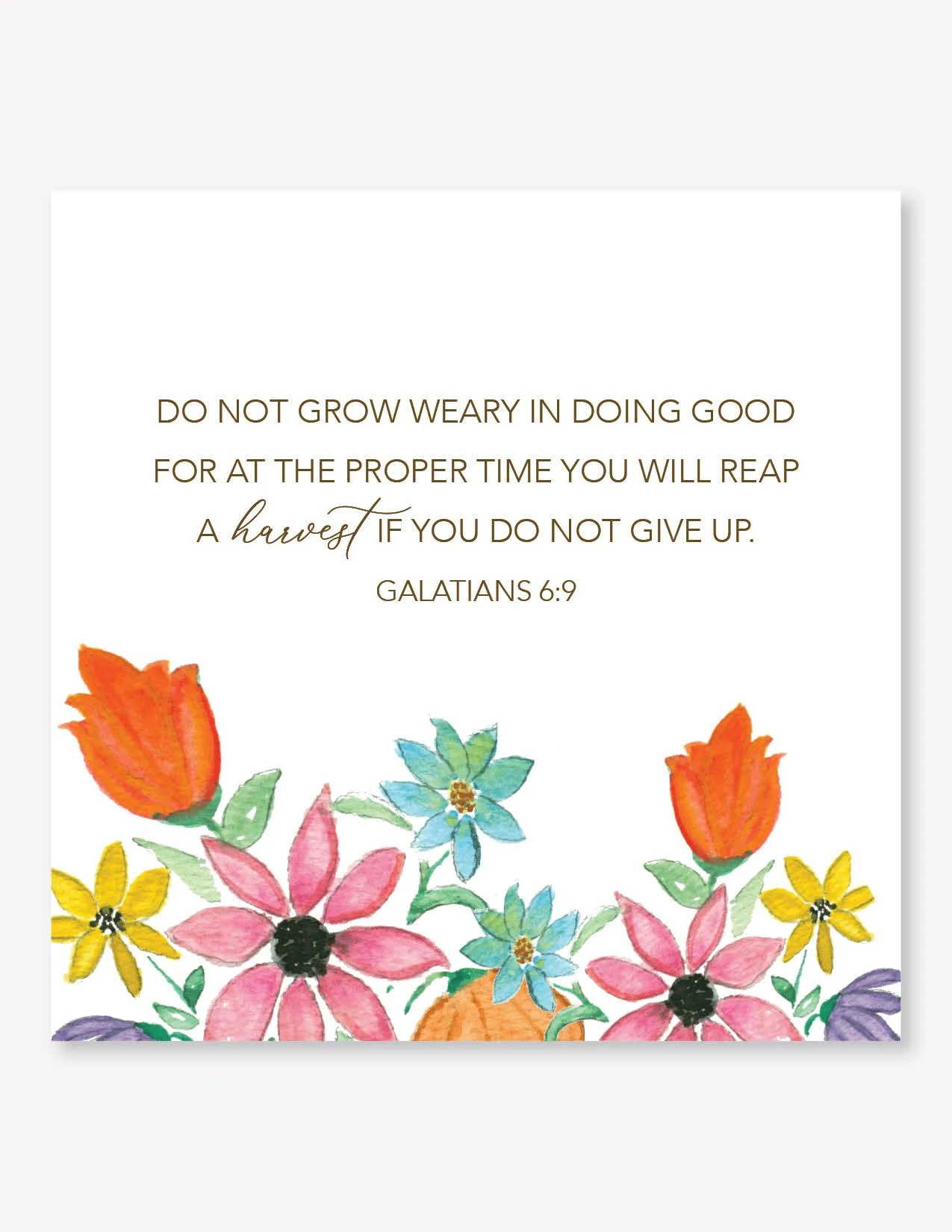 ScriptureDisplay8ShadowViewforWeb.jpg