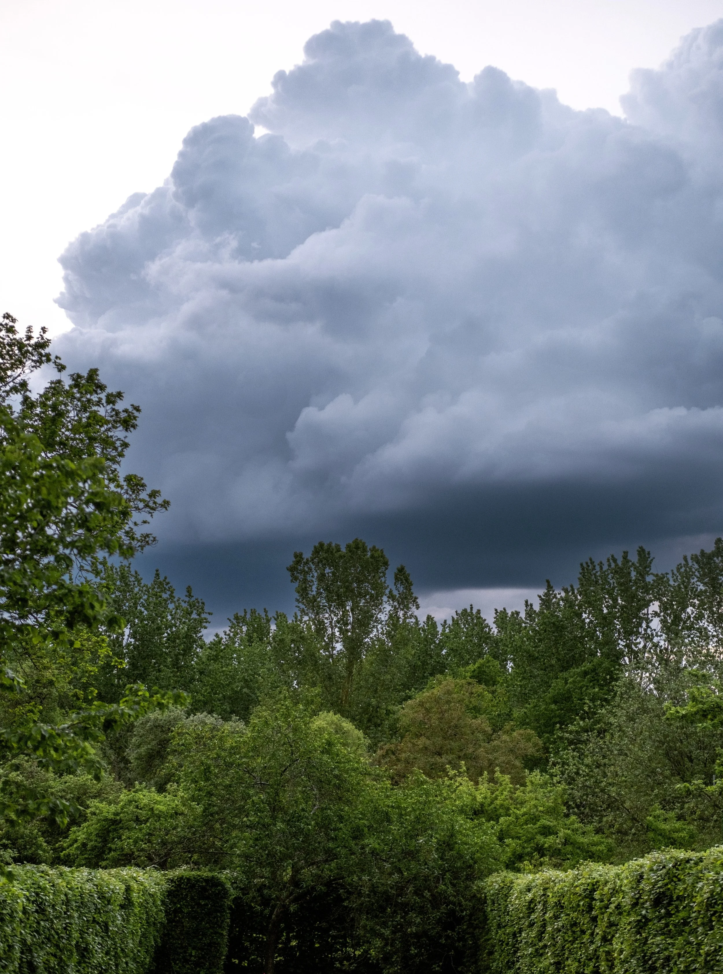 Storm clouds rolling in &mdash; the view from our living room a few days ago. ##thunderstorm #stormphotography #stormyweather #cloudscape #skylover #moodygrams #naturephotography #stormclouds #weatherphotography #dramaticsky #rainyclouds #livingroomv