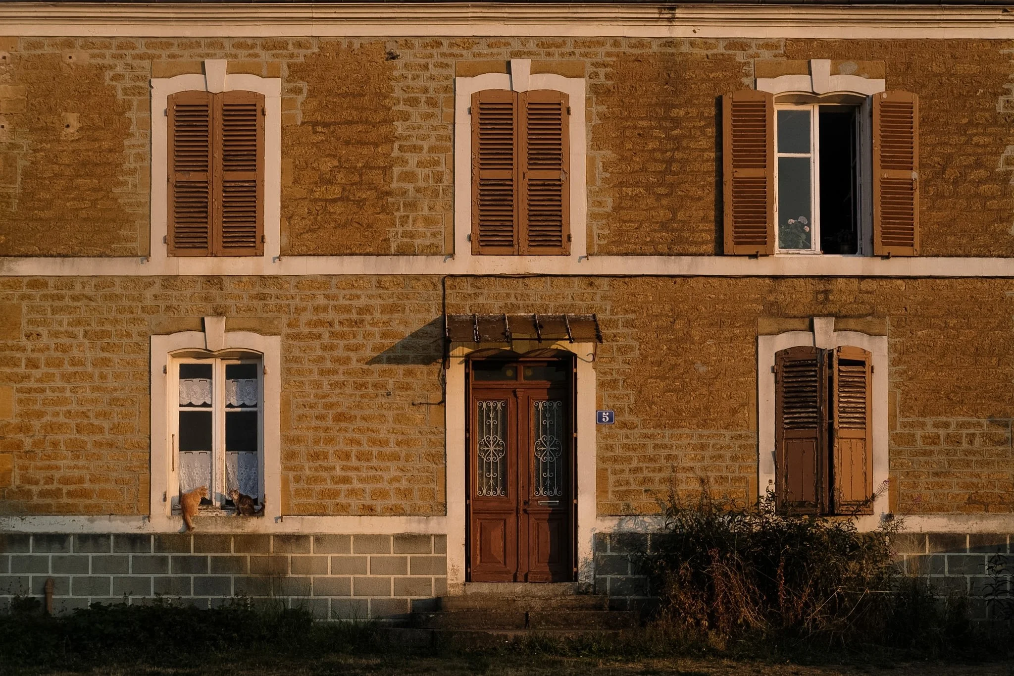 DSCF5191.jpg