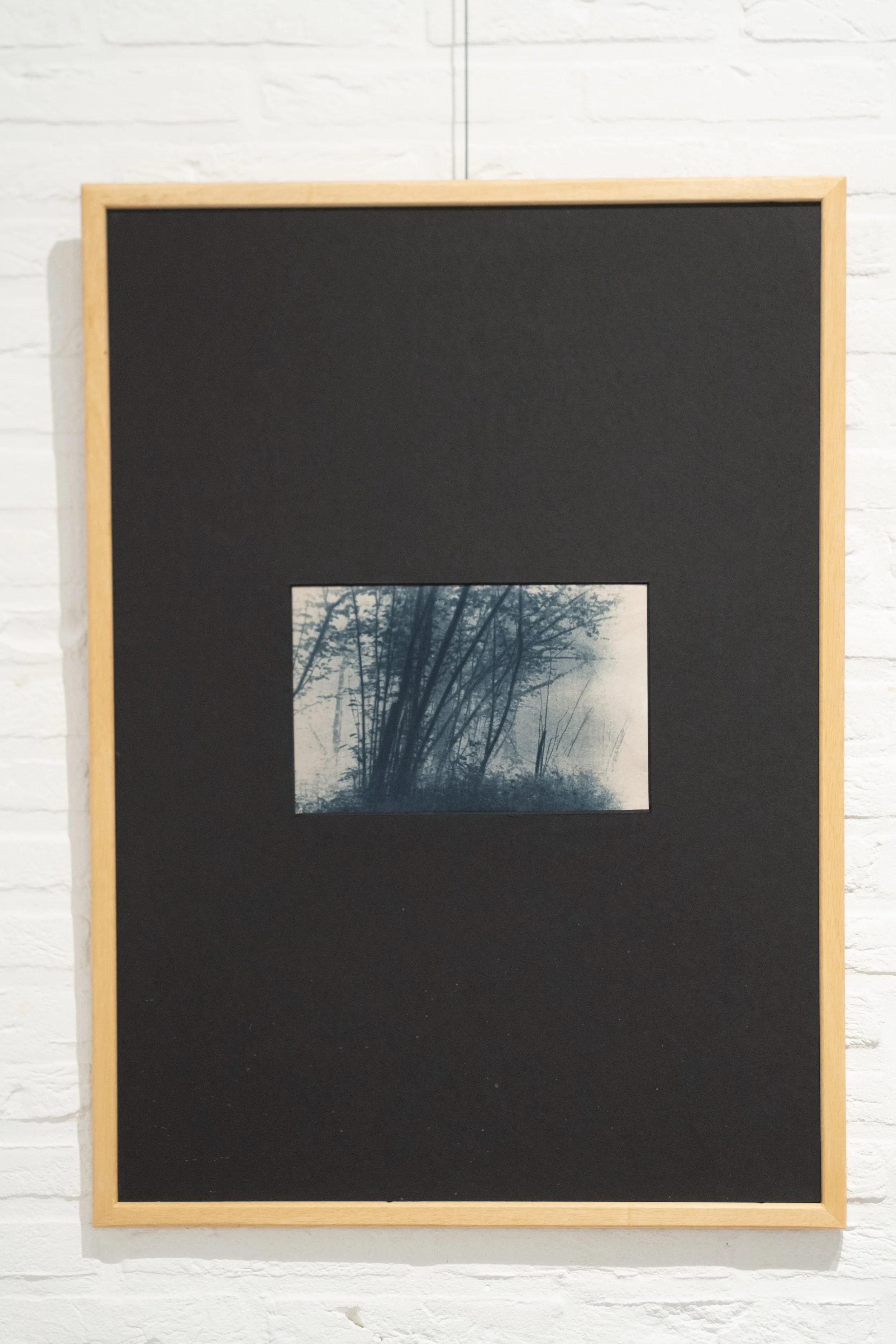 My Midnight Garden Unieke Cyanotype met handgemaakte kader