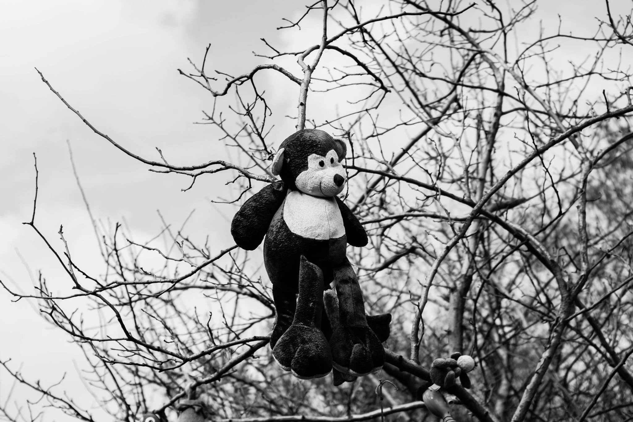 516858807_10239947121402546_580572730727808667_n (1).jpg