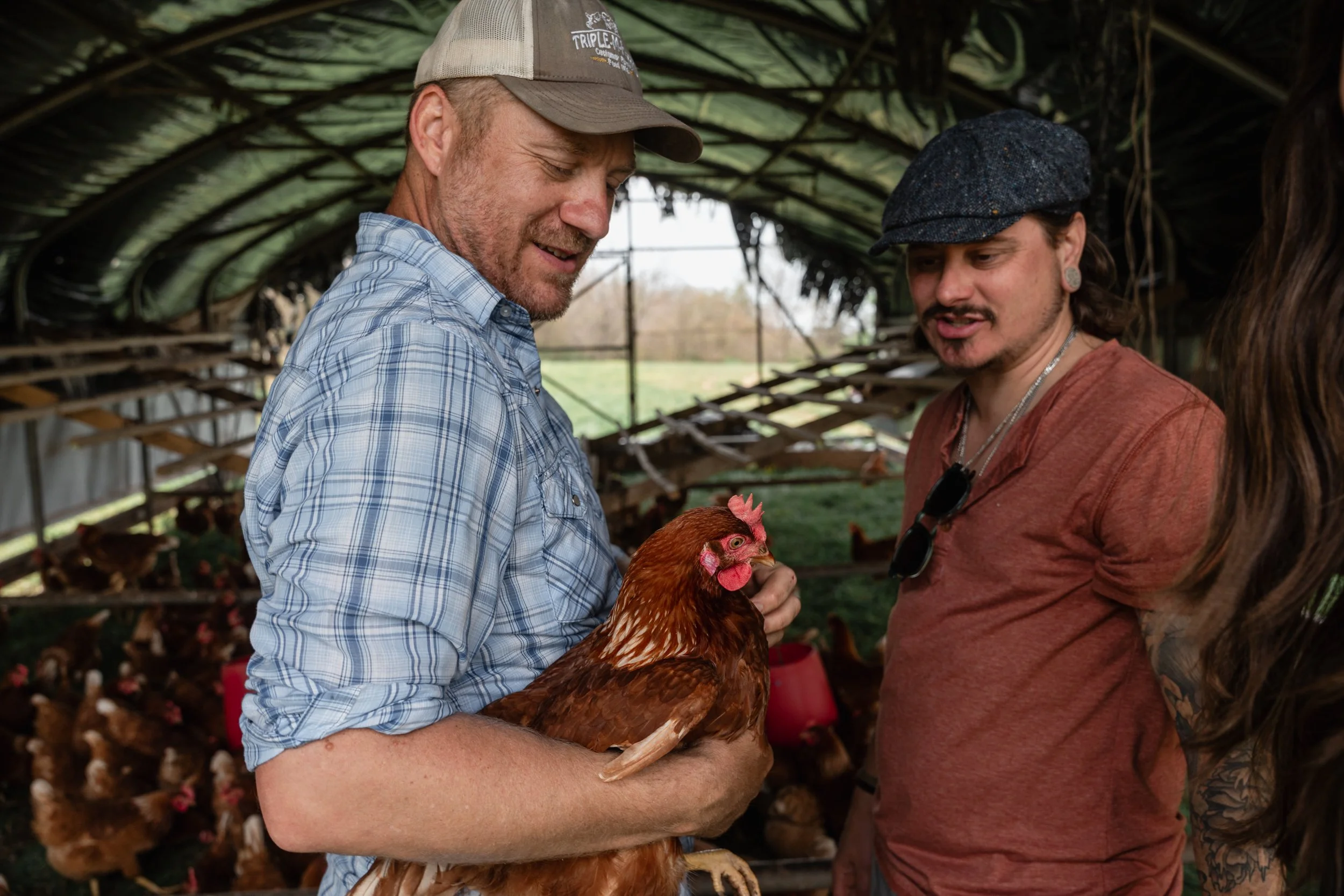 Across the Creek Farm