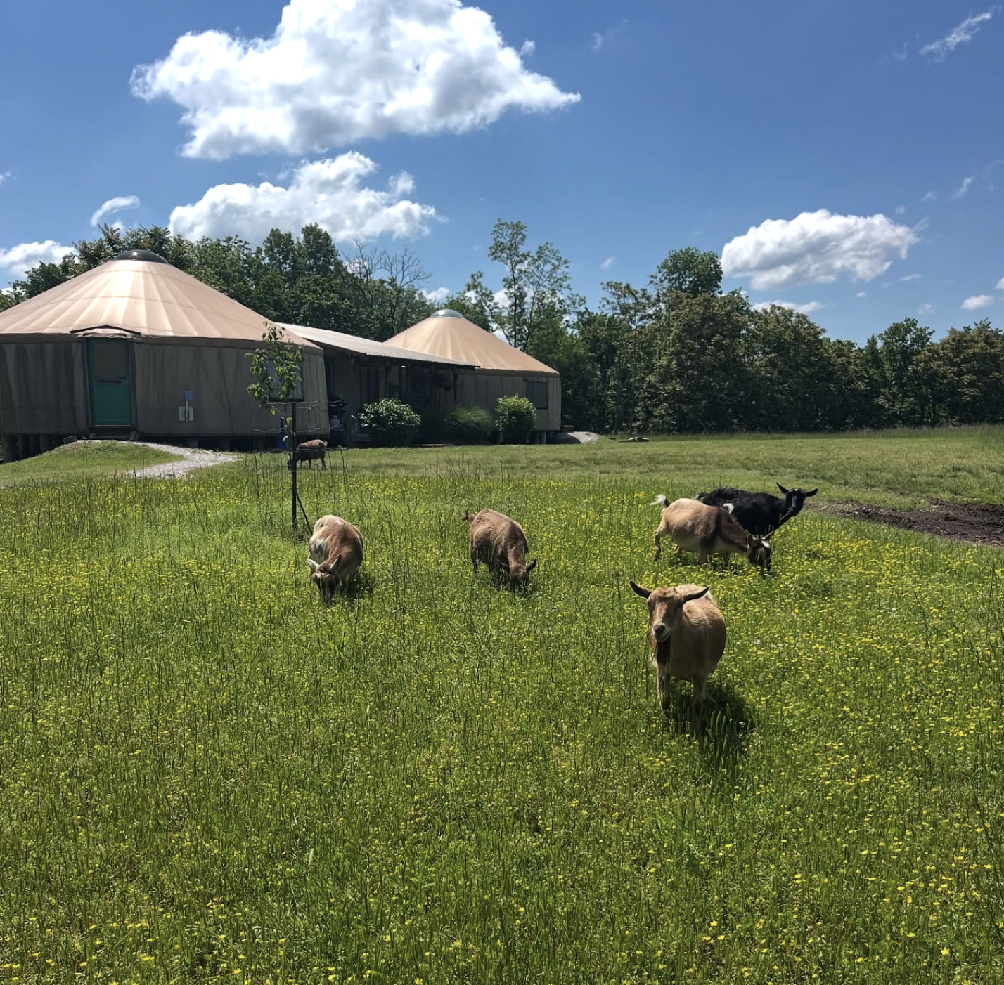 White River Creamery