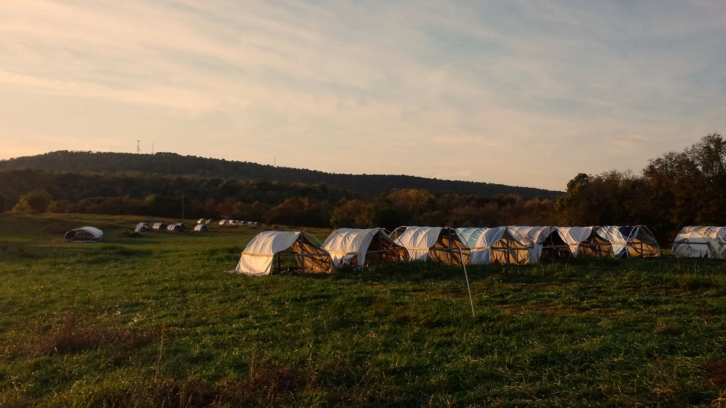 Across the Creek Farm