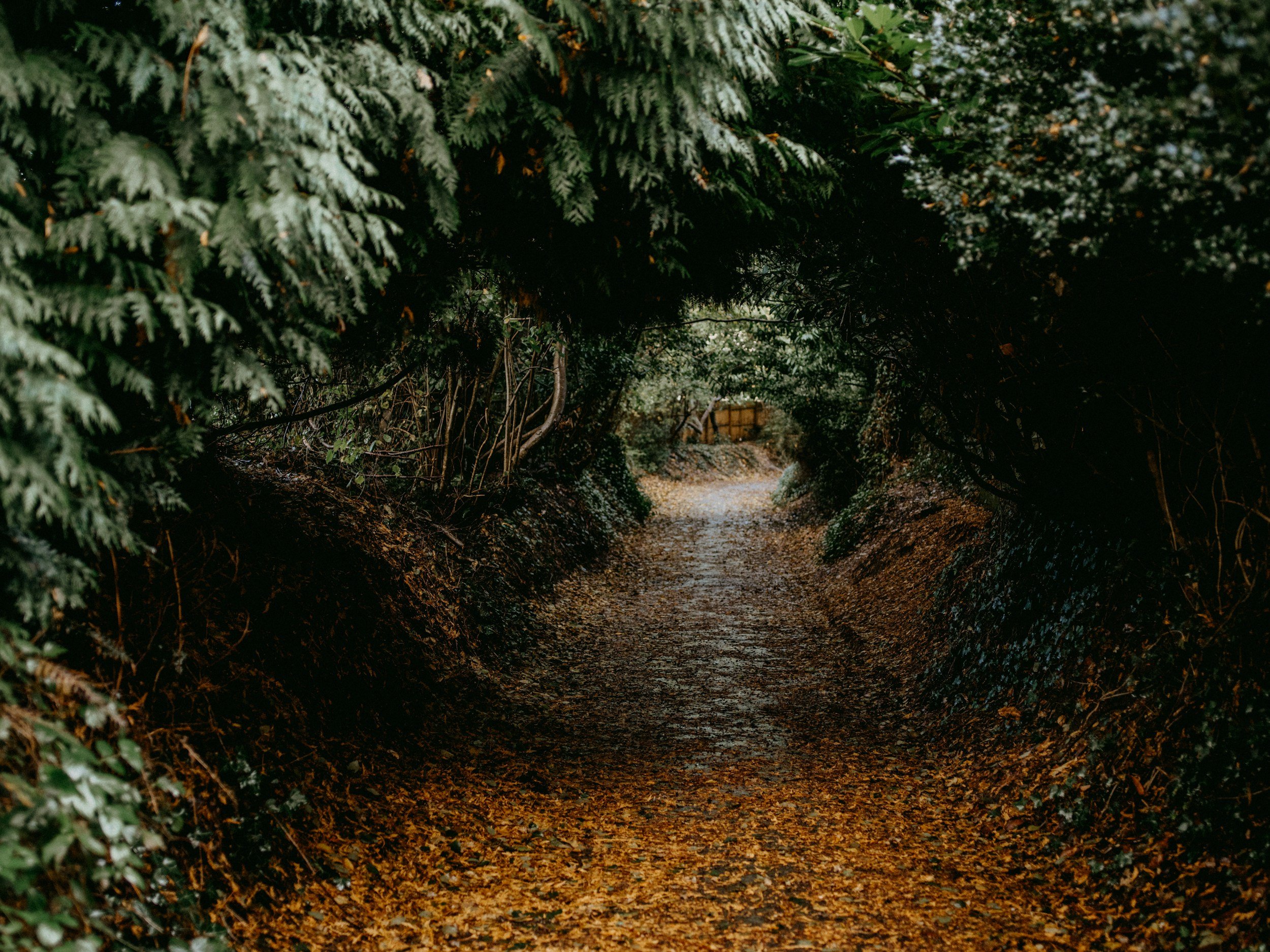 The Executive’s Guide to Selling Company Stock Without Regret (Rules > Feelings)