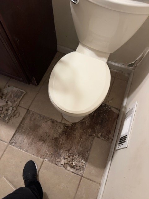 IMG_8451 Medium.jpeg