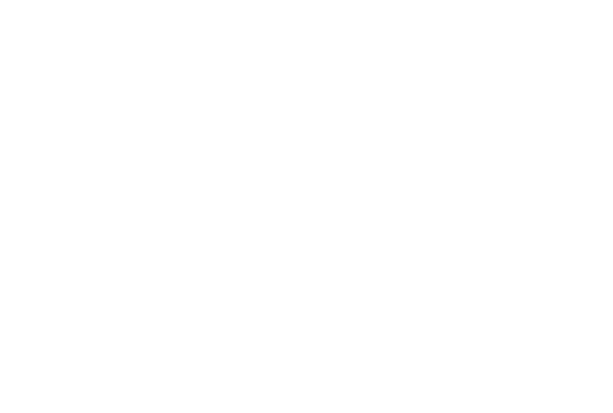The Bull Brew