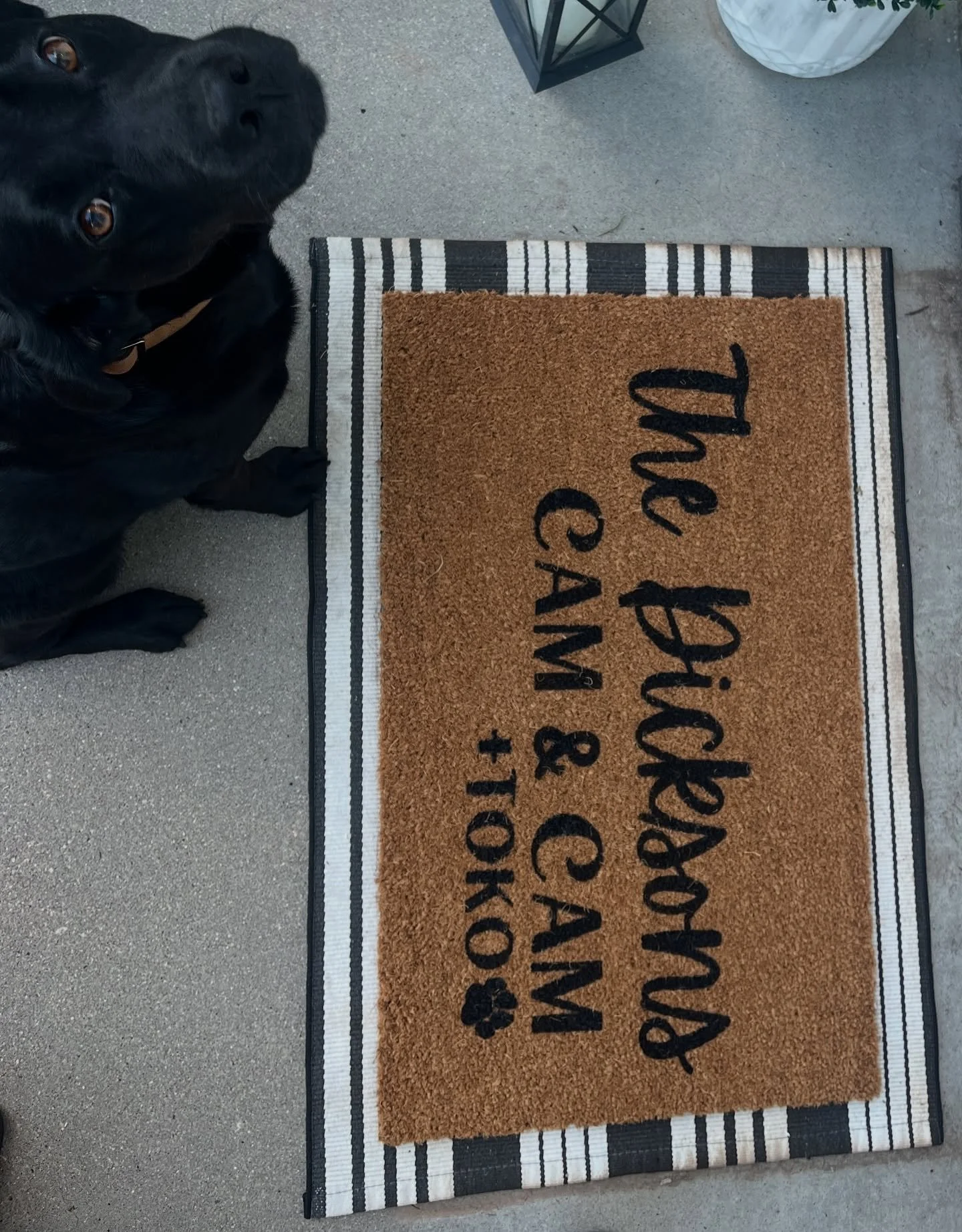 ✨ Welcoming guests, Toko-style 🐾 Not just a door mat, it&rsquo;s a little piece of home. We made this one for ourselves (because Toko deserves front-door fame 😍), but the best part? You can get one too!

Whether it&rsquo;s your pup, your last name,