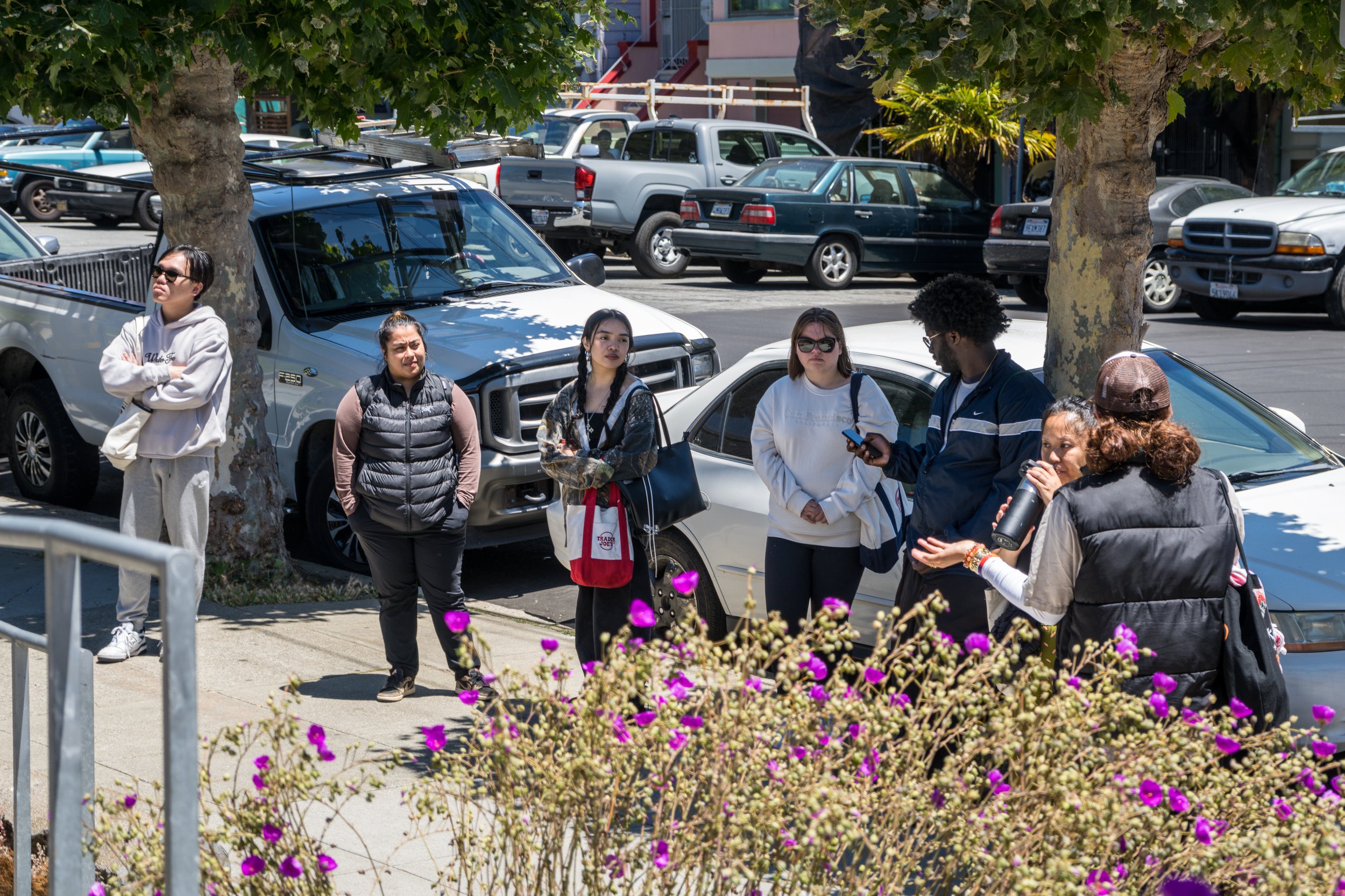 A group of people standing on sidewalk near parked cars under trees on a sunny day.