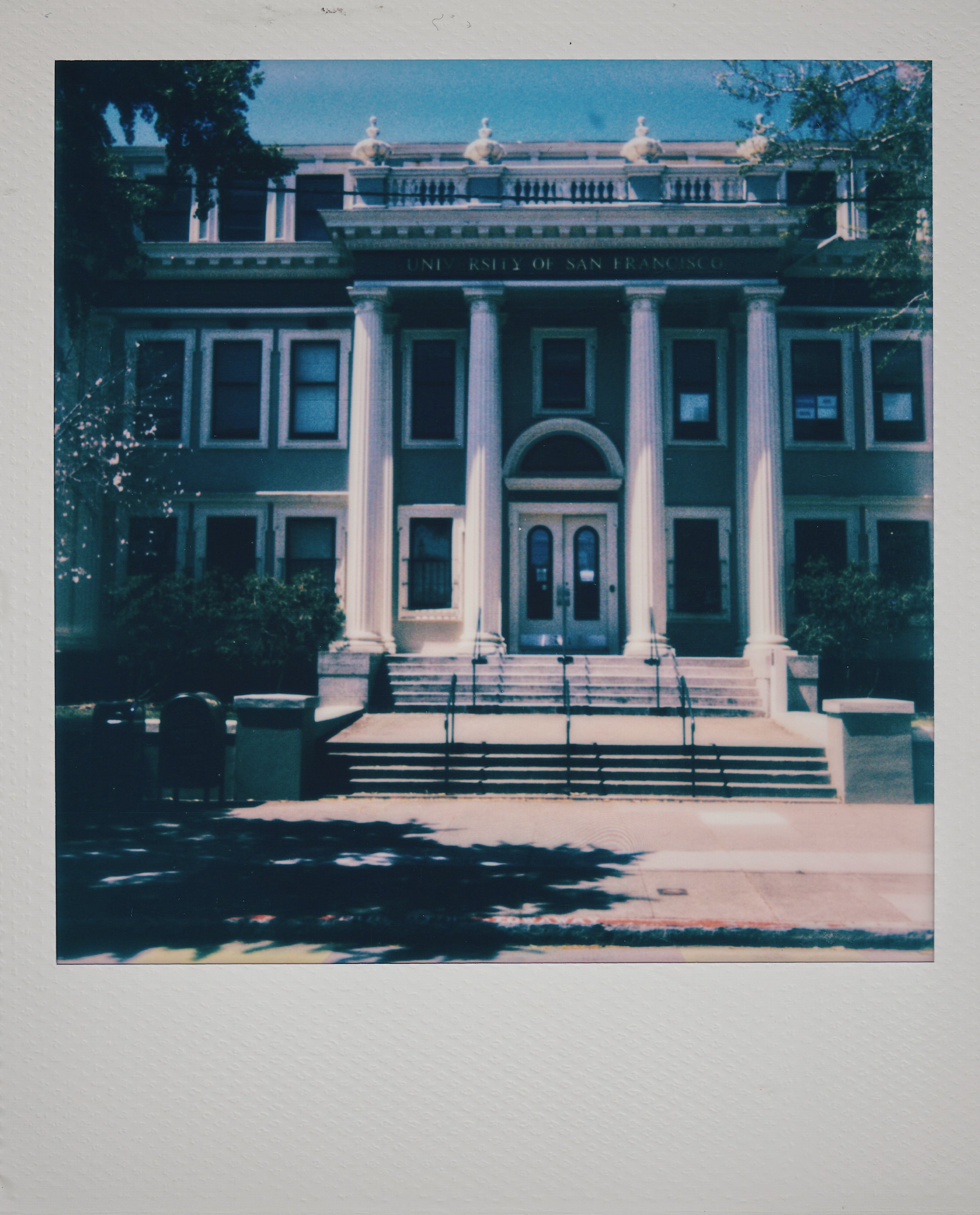 polaroids_fellows1_53683364448_o.jpg