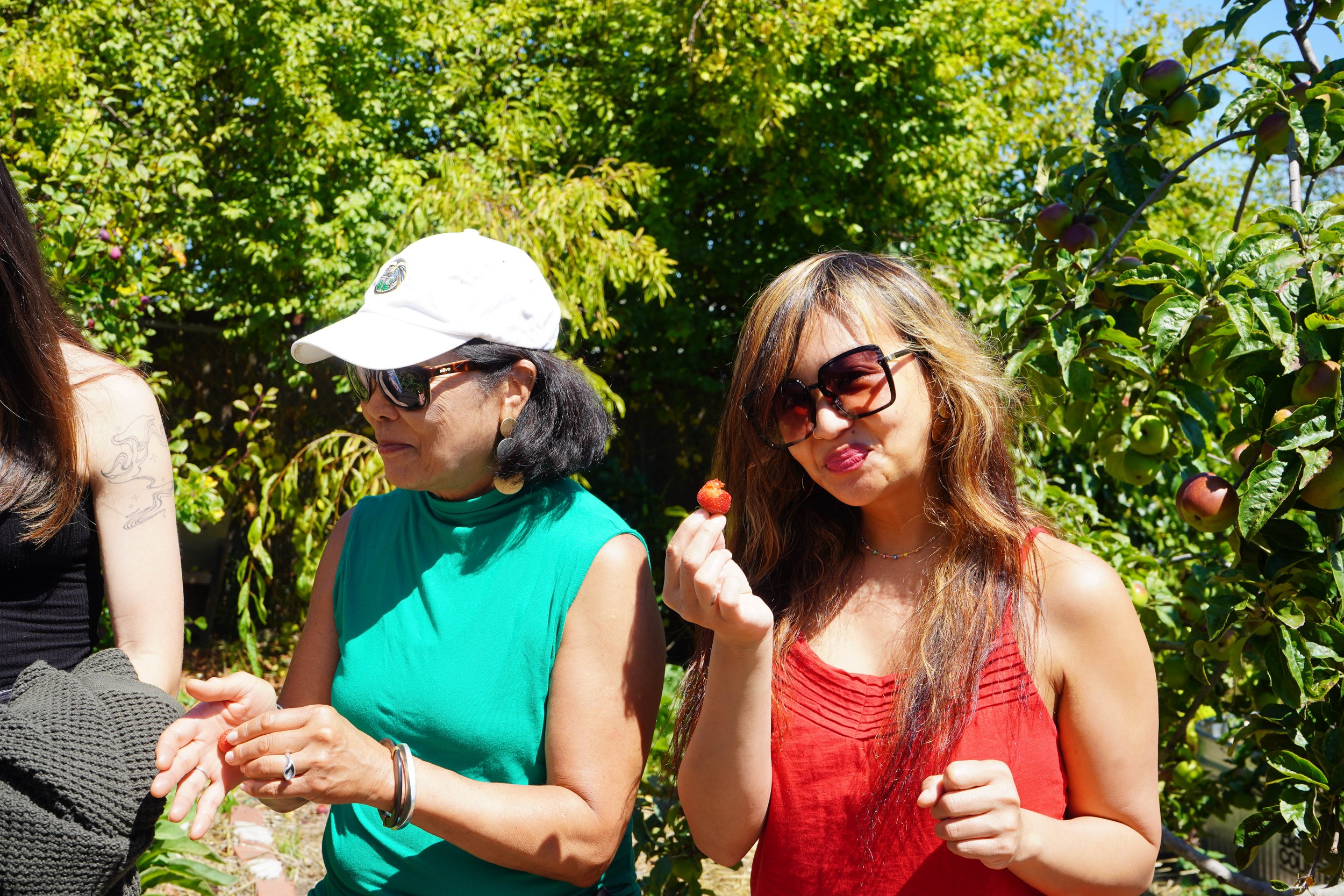 dsc03577_53248884826_o.jpg