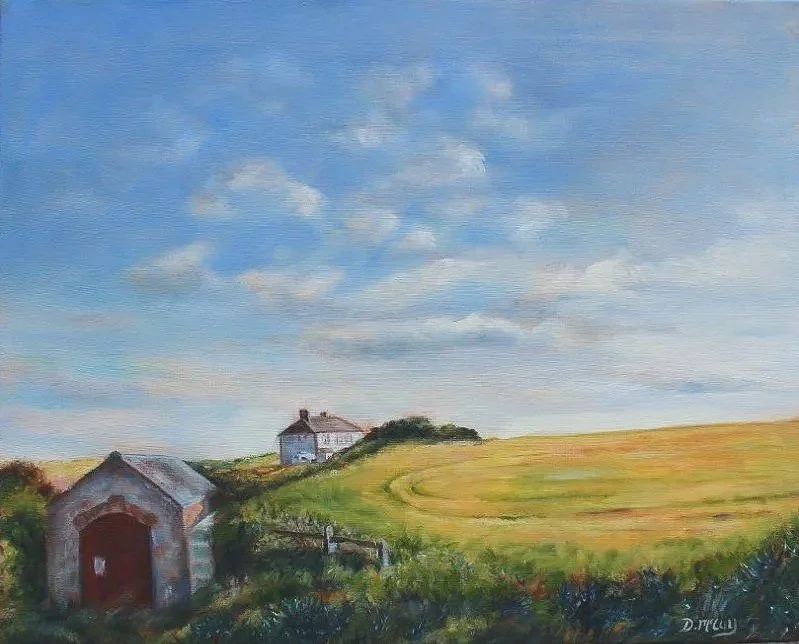 'The Field', Bannow Bay Wexford