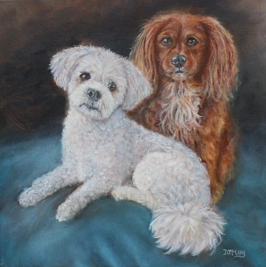 white and brown dogs.jpg