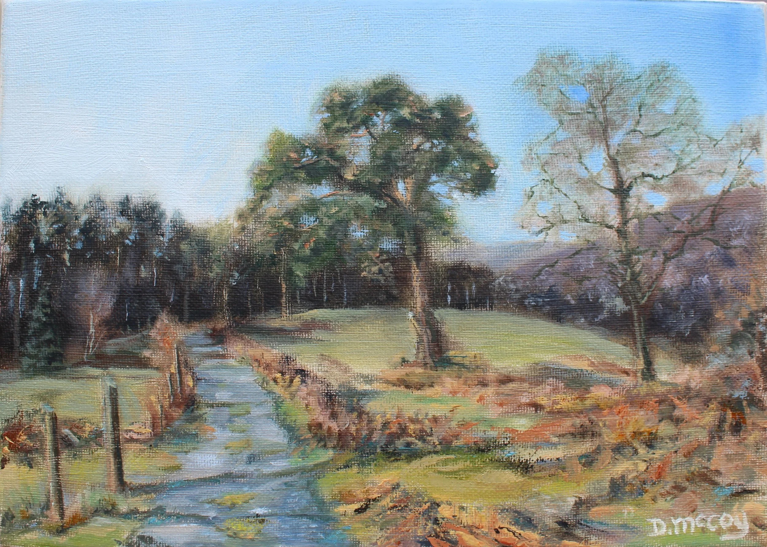 'Come On In', 2026, oil on linen, 21.5 x 29.5cm. Ballard Forest Laragh on a cold Spring morning.