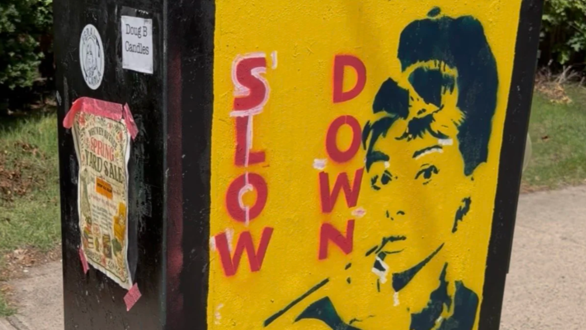 Who’s The Guy Behind the “Slow Down” Signs? New Haven’s Matthew Feiner