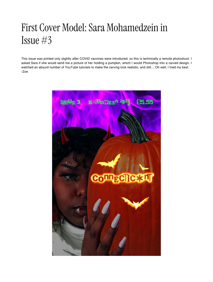 Connecticunt the Book (6).png