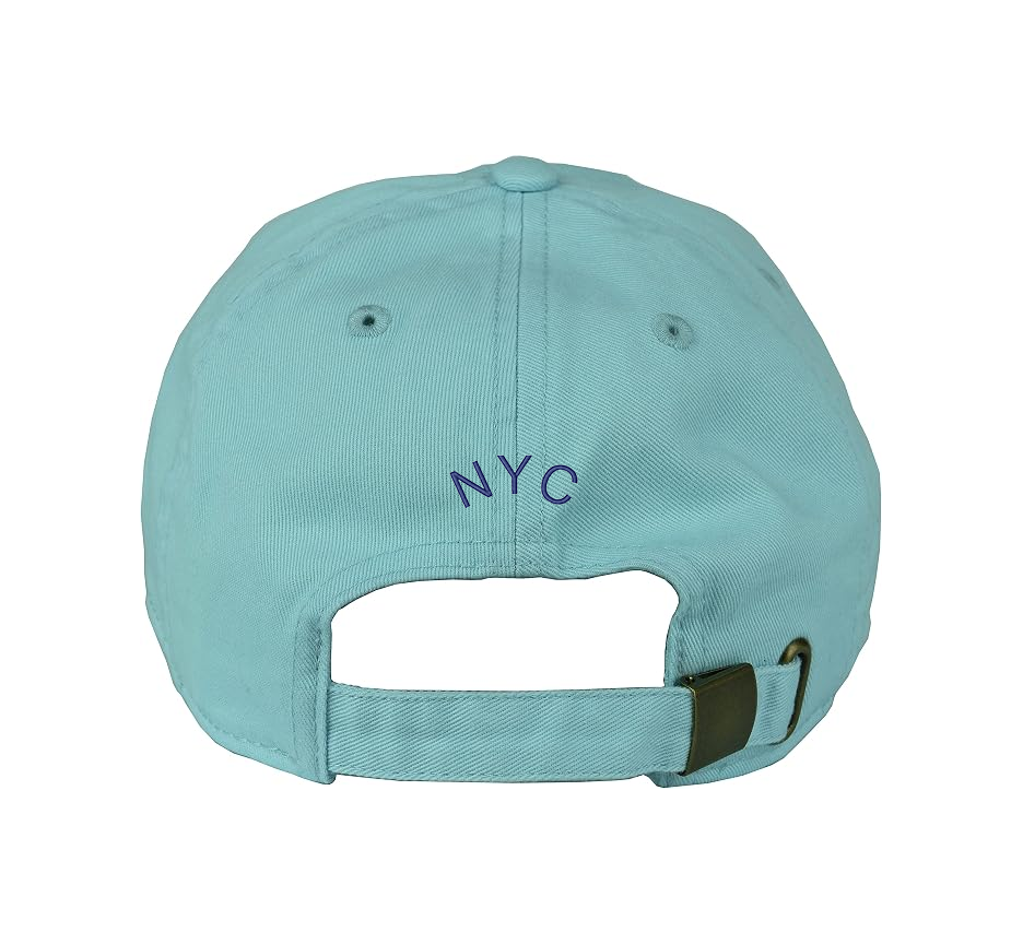 whitney museum HAT BACK.png