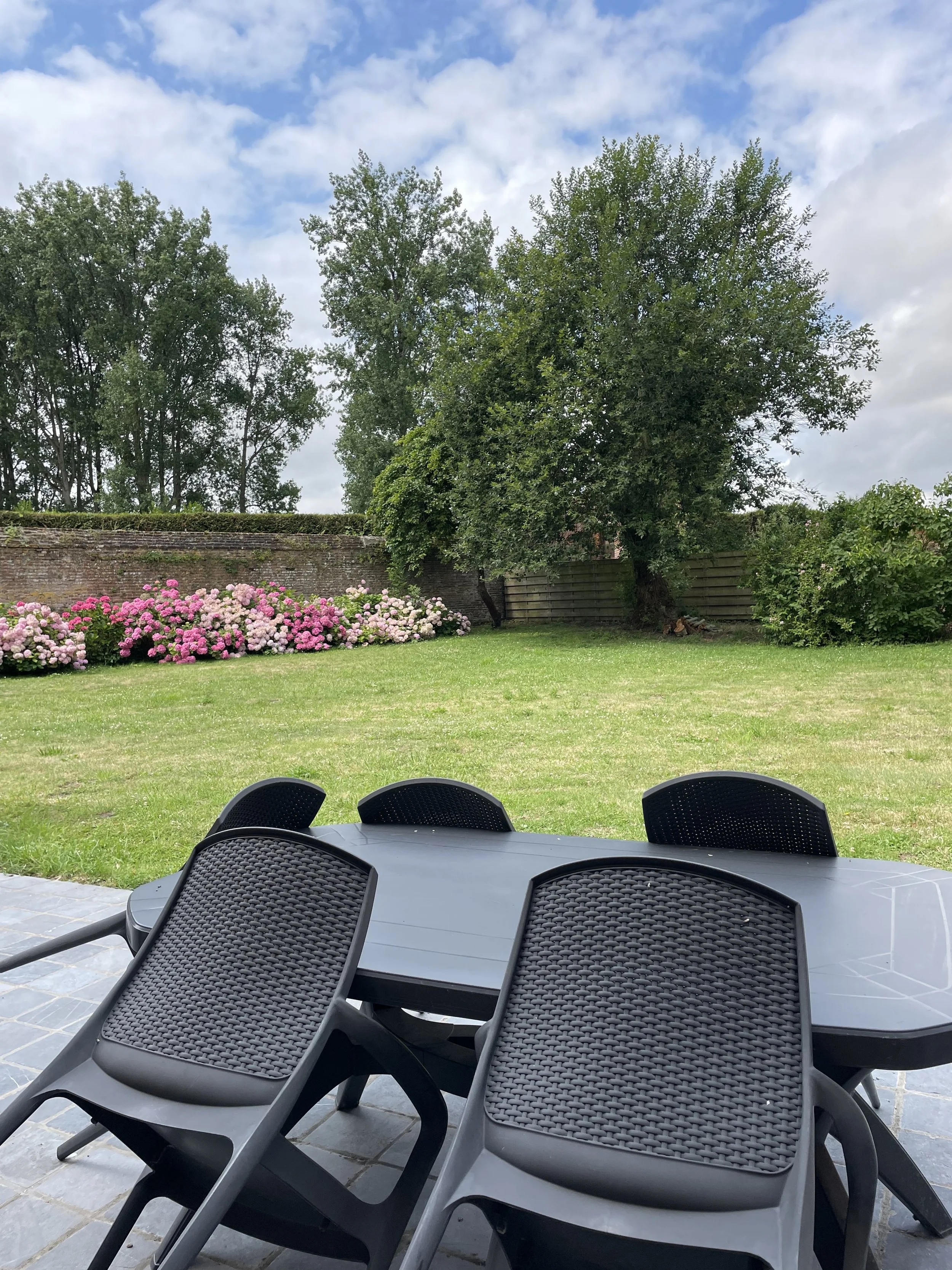 Table de jardin avec six chaises en plastique noir sur une terrasse en pavés, jardin avec herbe verte, arbres et buissons avec des fleurs pink et blanche, ciel nuageux