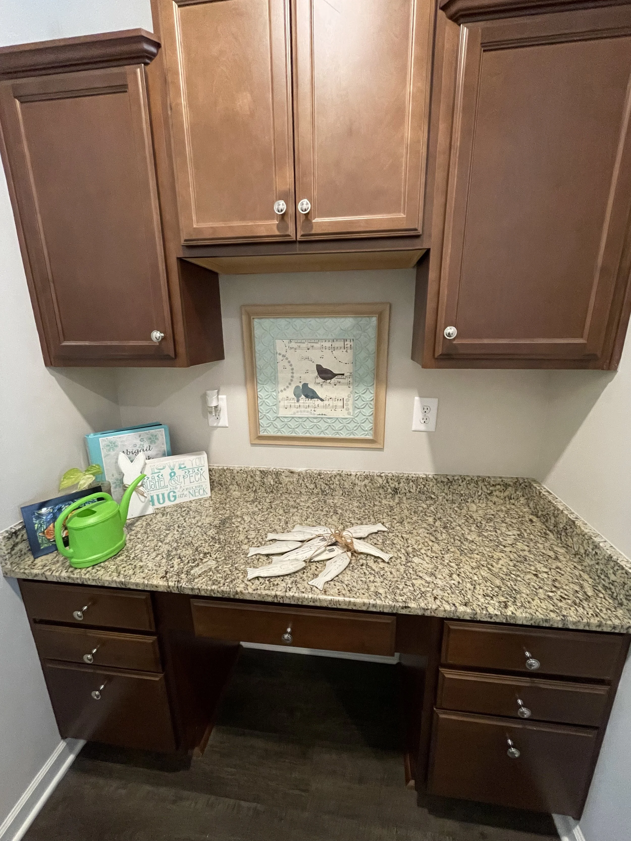 Cabinets and walls before