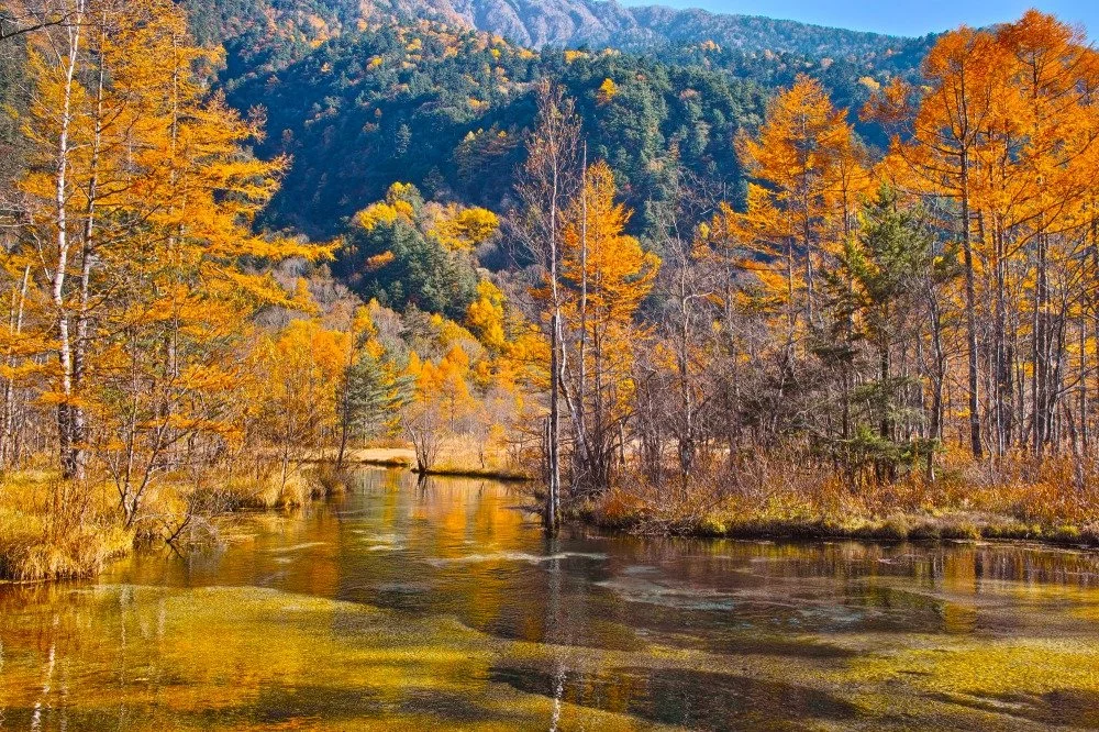 Kamikochi-Tashiro-pond-fall-foliage-view.jpg