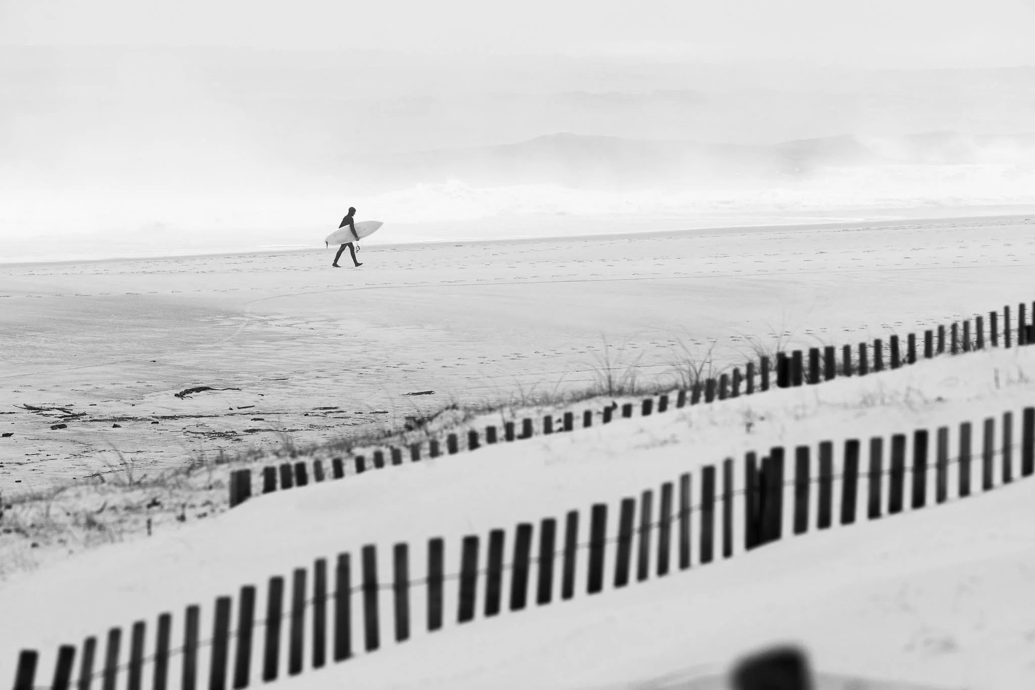 _09A9682.jpg