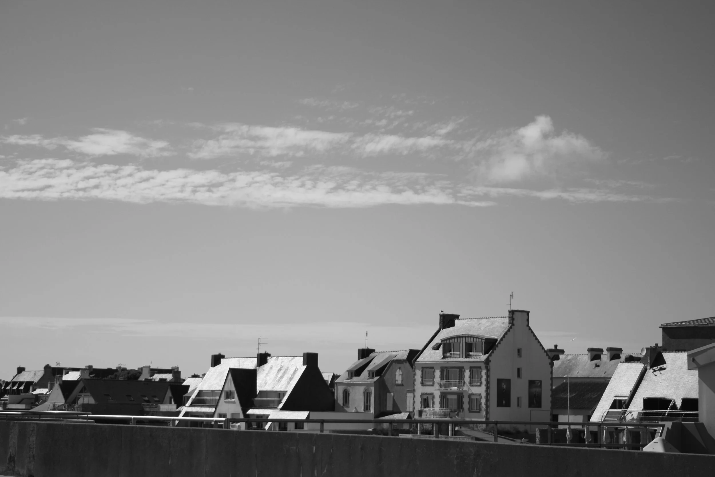 IMG_4529.jpg