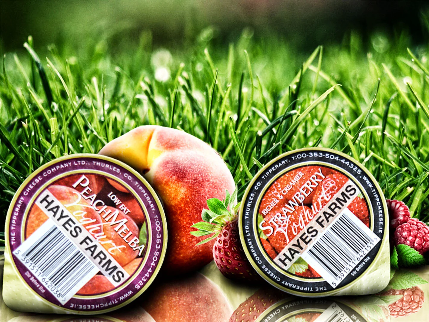 Die-Cut-Lids.jpg