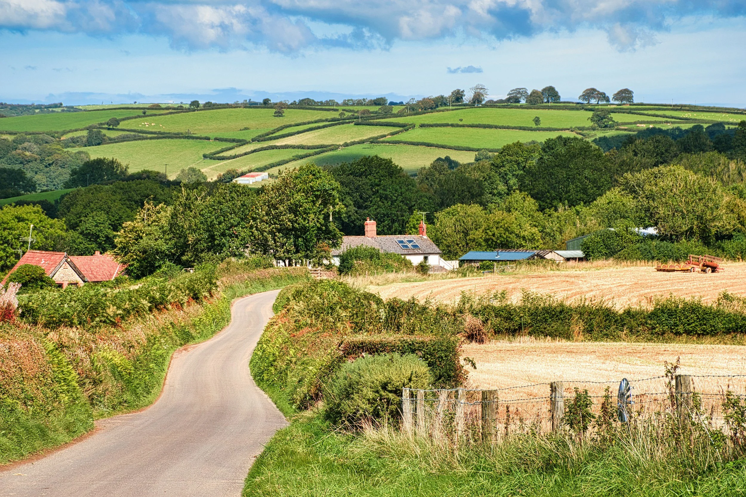 Spark UK brings young people’s voices into Devon’s Annual Public Health Report