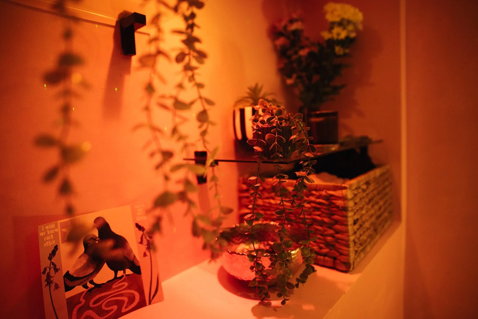 details of a pink counselling room: art, plants and a basket full of blankets.