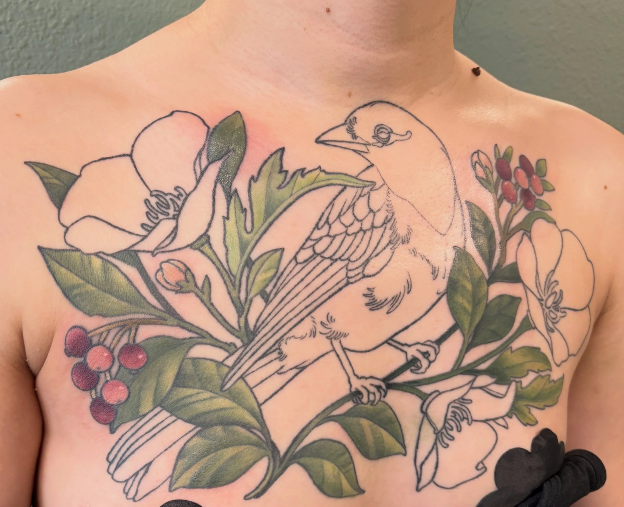 Large bird chest piece tattoo with currants and California poppies in a flowing neo-traditional composition