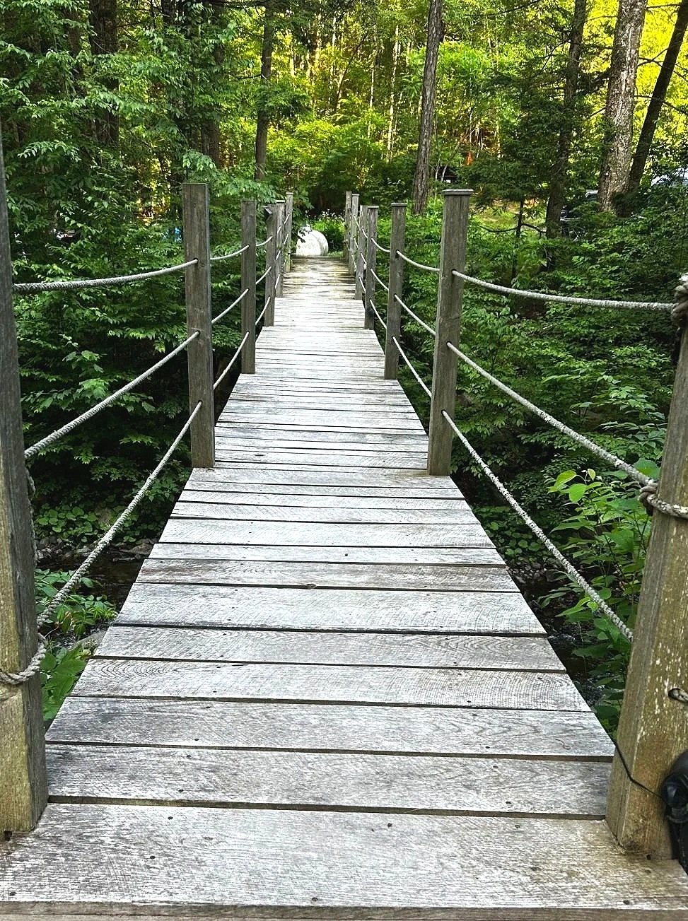 Historic renovation and design‑forward carpentry grounded in 43 years of combined craftsmanship—Wisewood transforms homes with precision, integrity, and lasting beauty.