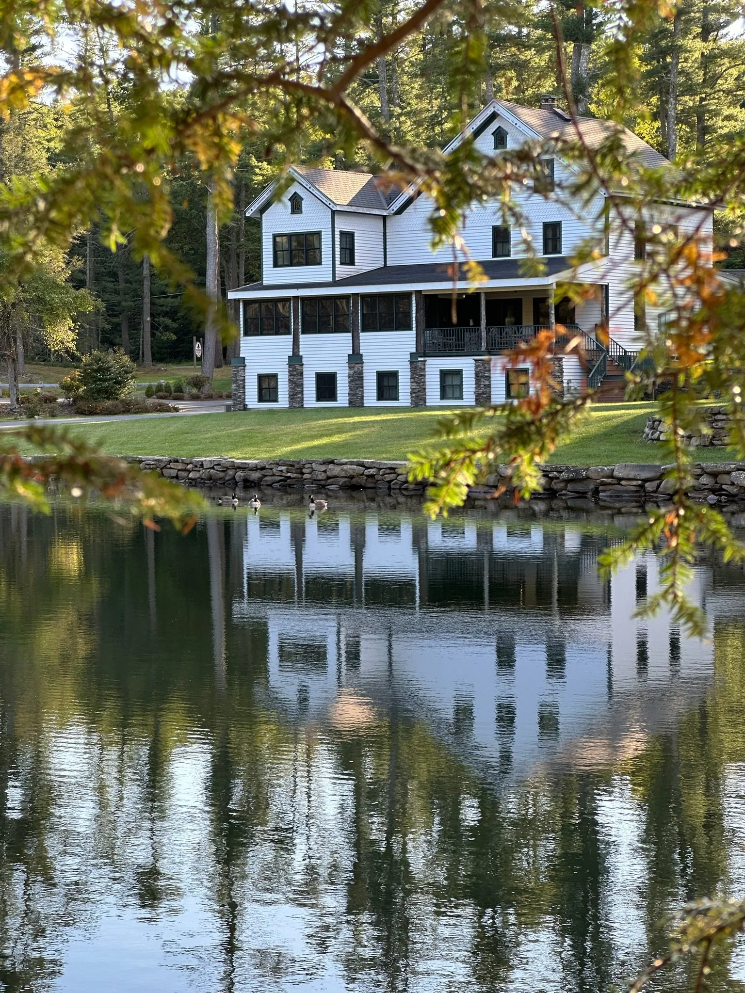 A white house with black windows and a porch, viewed through tree branches, is reflected in a pond with ducks, surrounded by a grassy yard and trees.