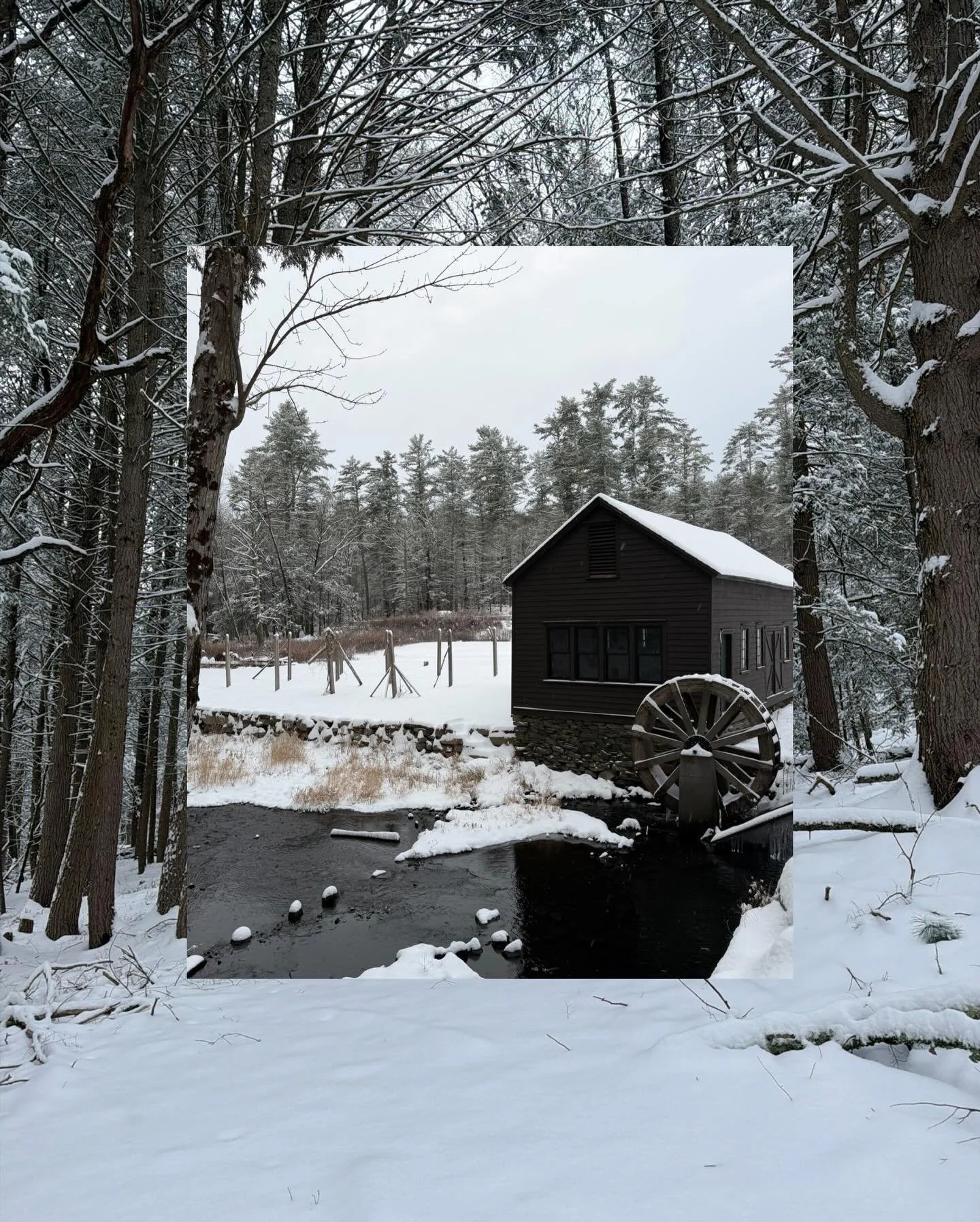 A new year settles gently over Pine Brook Manor. 🤍

January brings quieter days, soft light, and space to look ahead. We&rsquo;re entering booking season and beginning conversations with couples planning meaningful celebrations.

Inquire now for 202