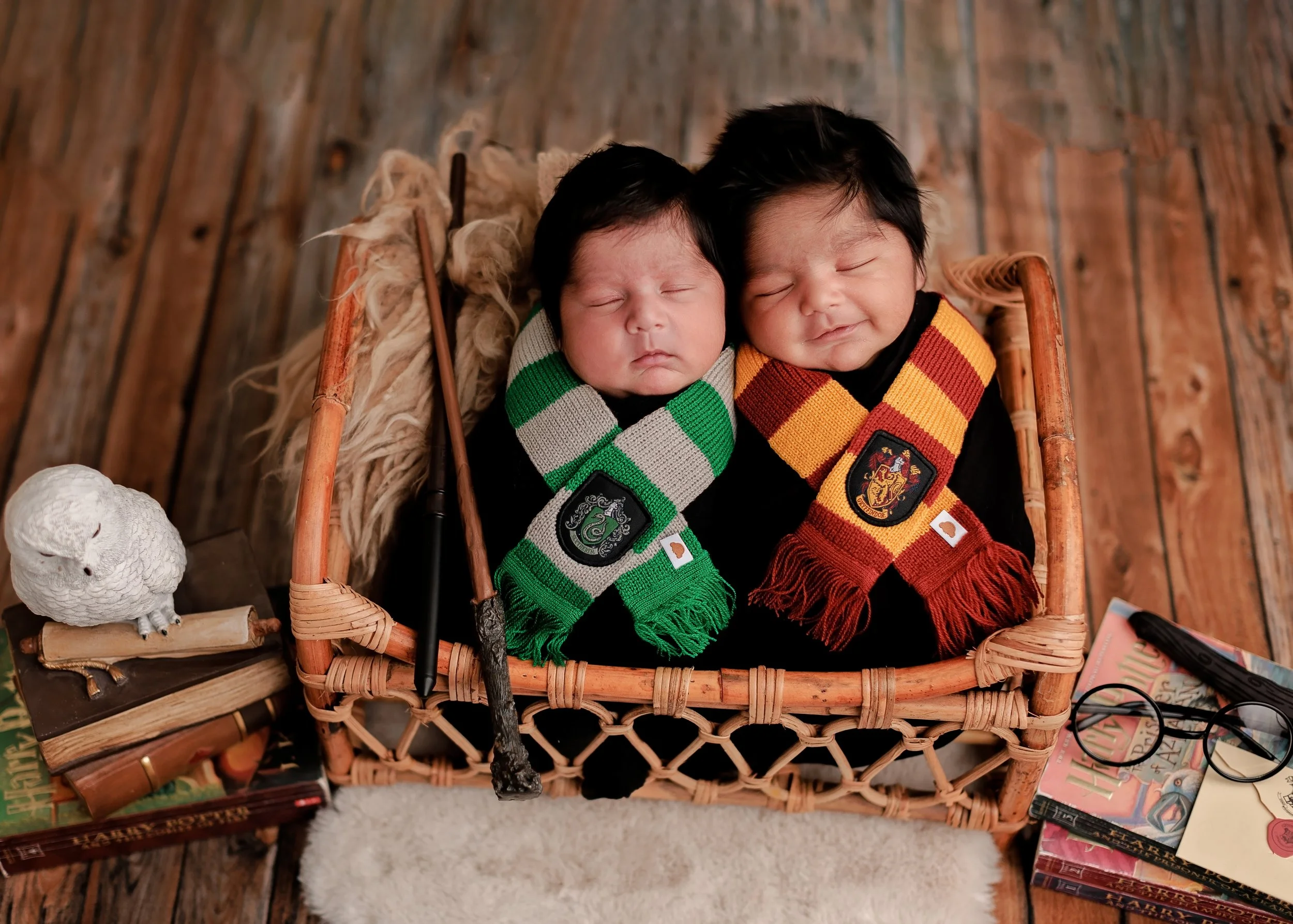 TwinsNewbornSession (1).jpg