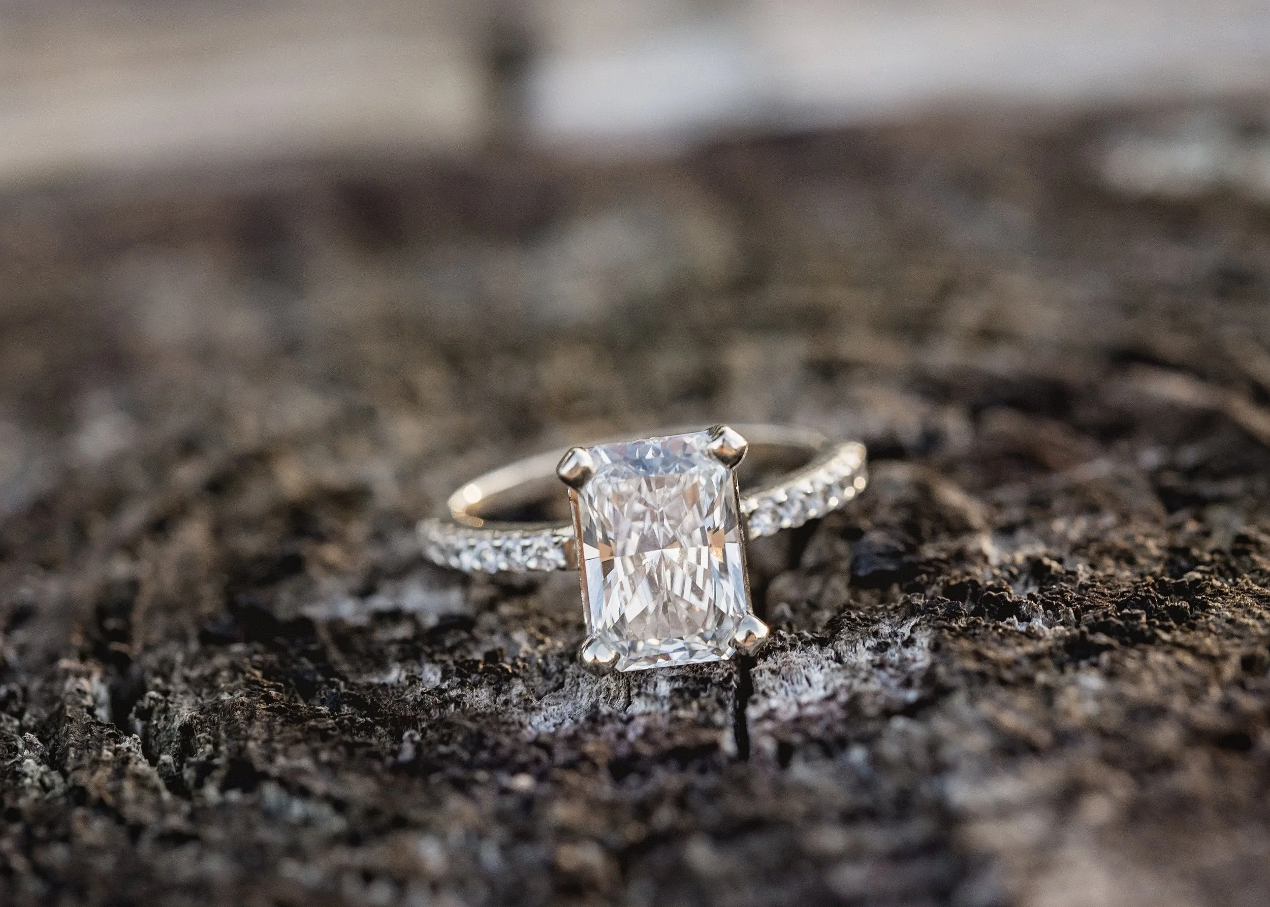 Abri&AndyEngagement (88).jpg