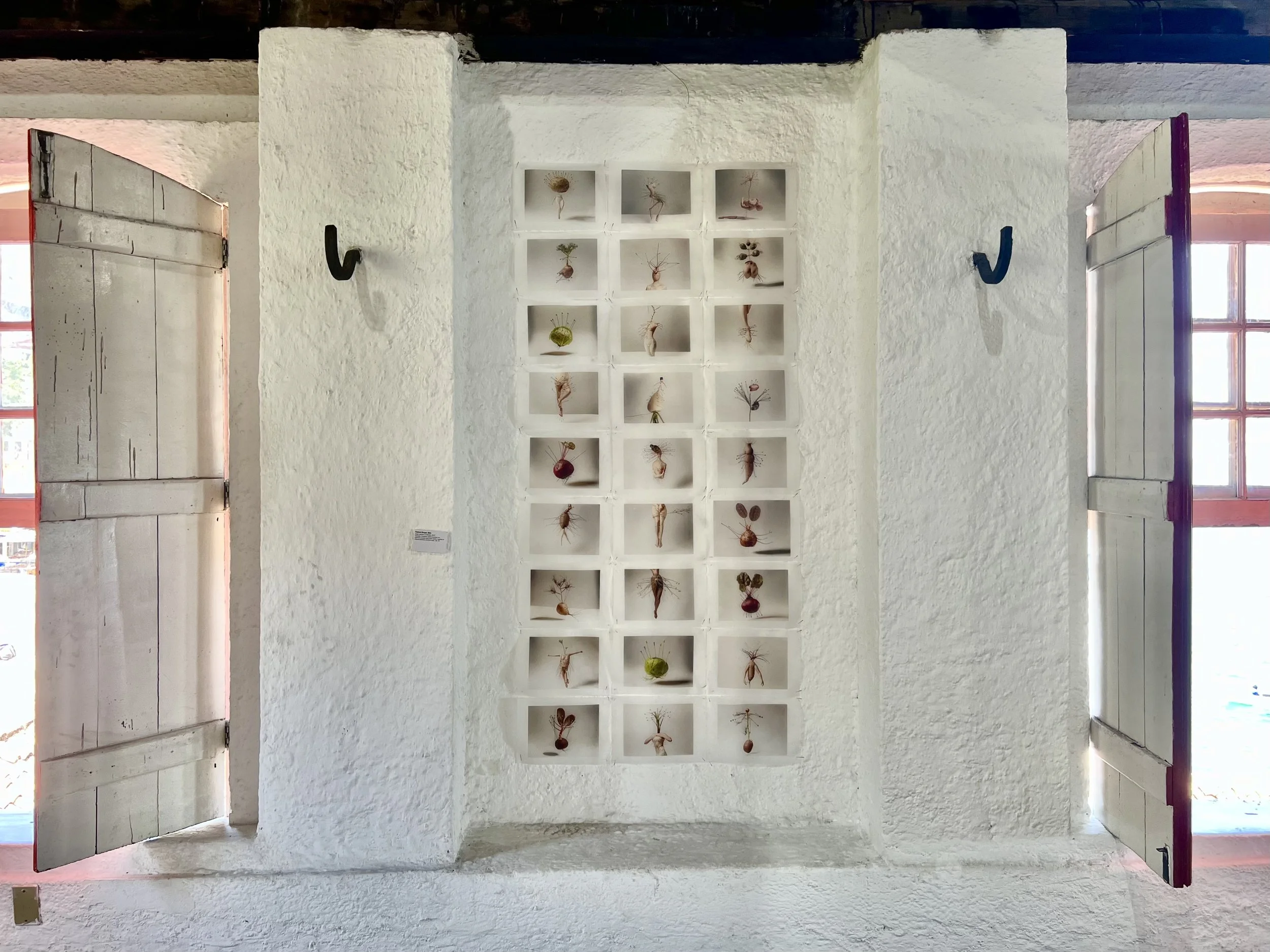 IMG_1030 copy 3.jpeg