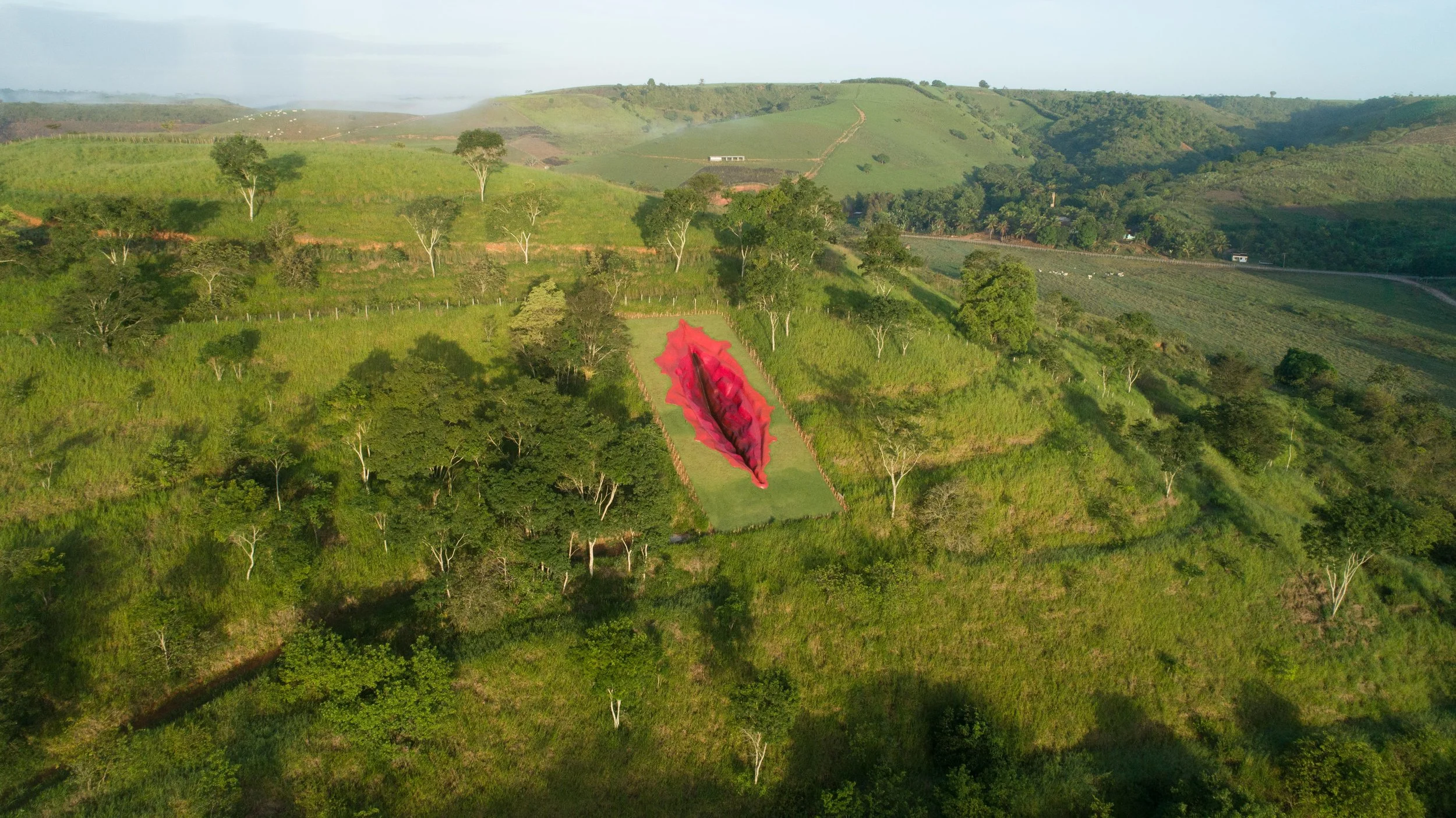 20210402-20210402-20210402-20210402-DJI_0190-2-3.jpg