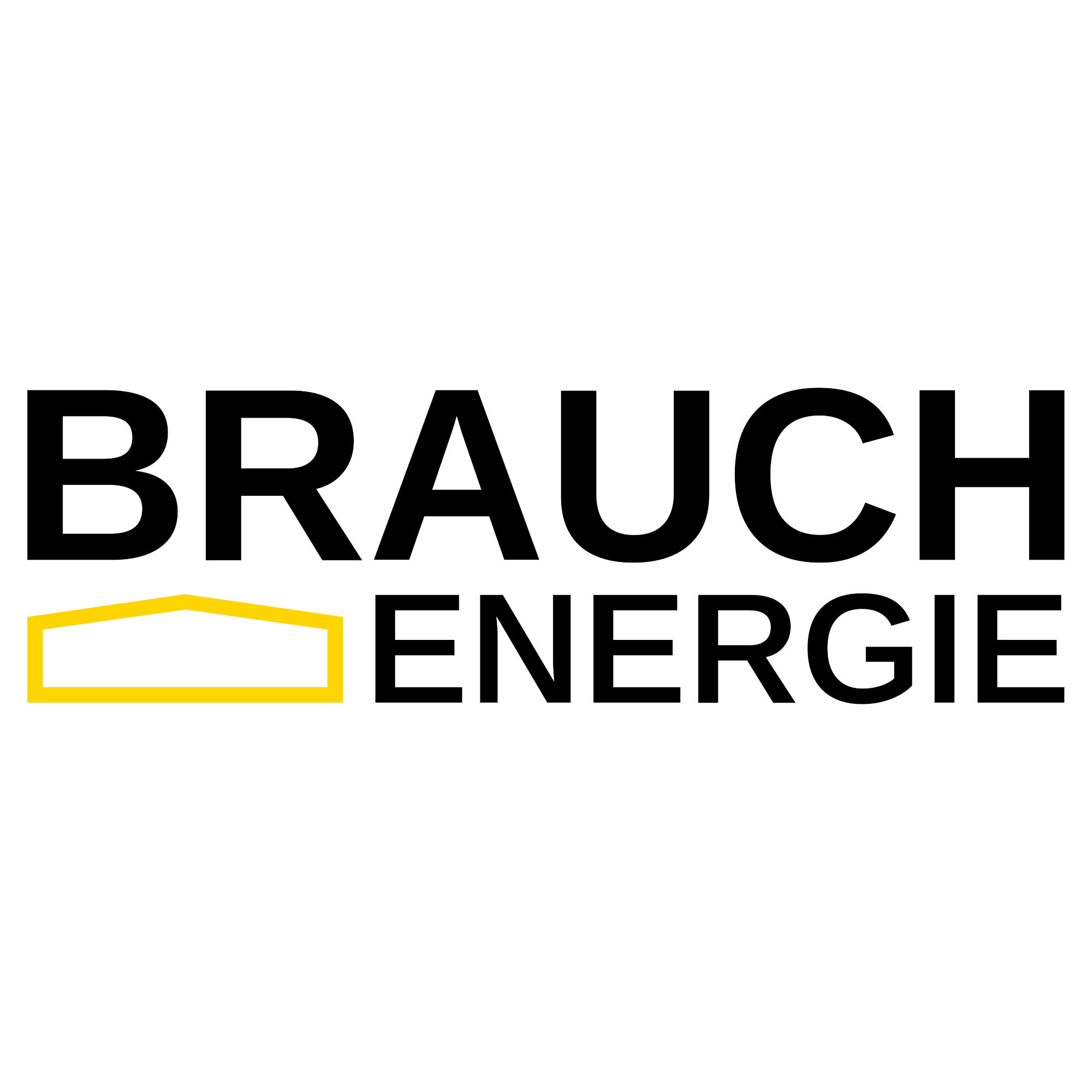 Brauch Energie
