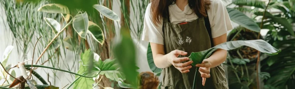 Michigan Small Business Alternative Credit