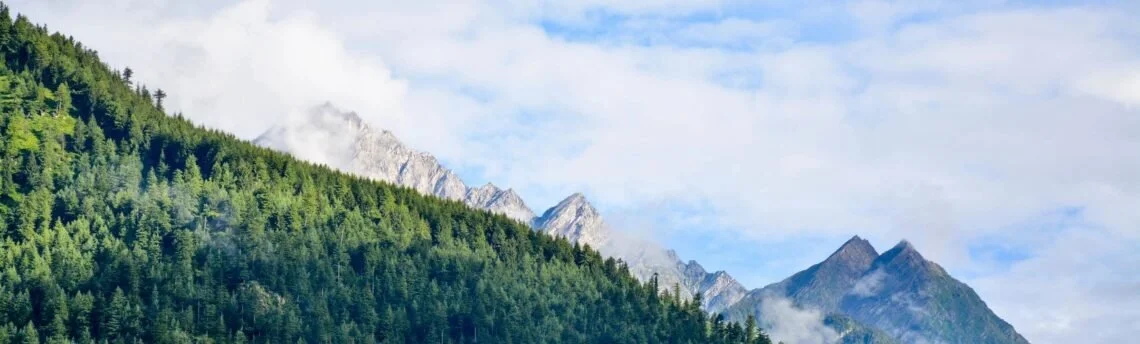 5 Items to Prepare for Michigan Tax Season