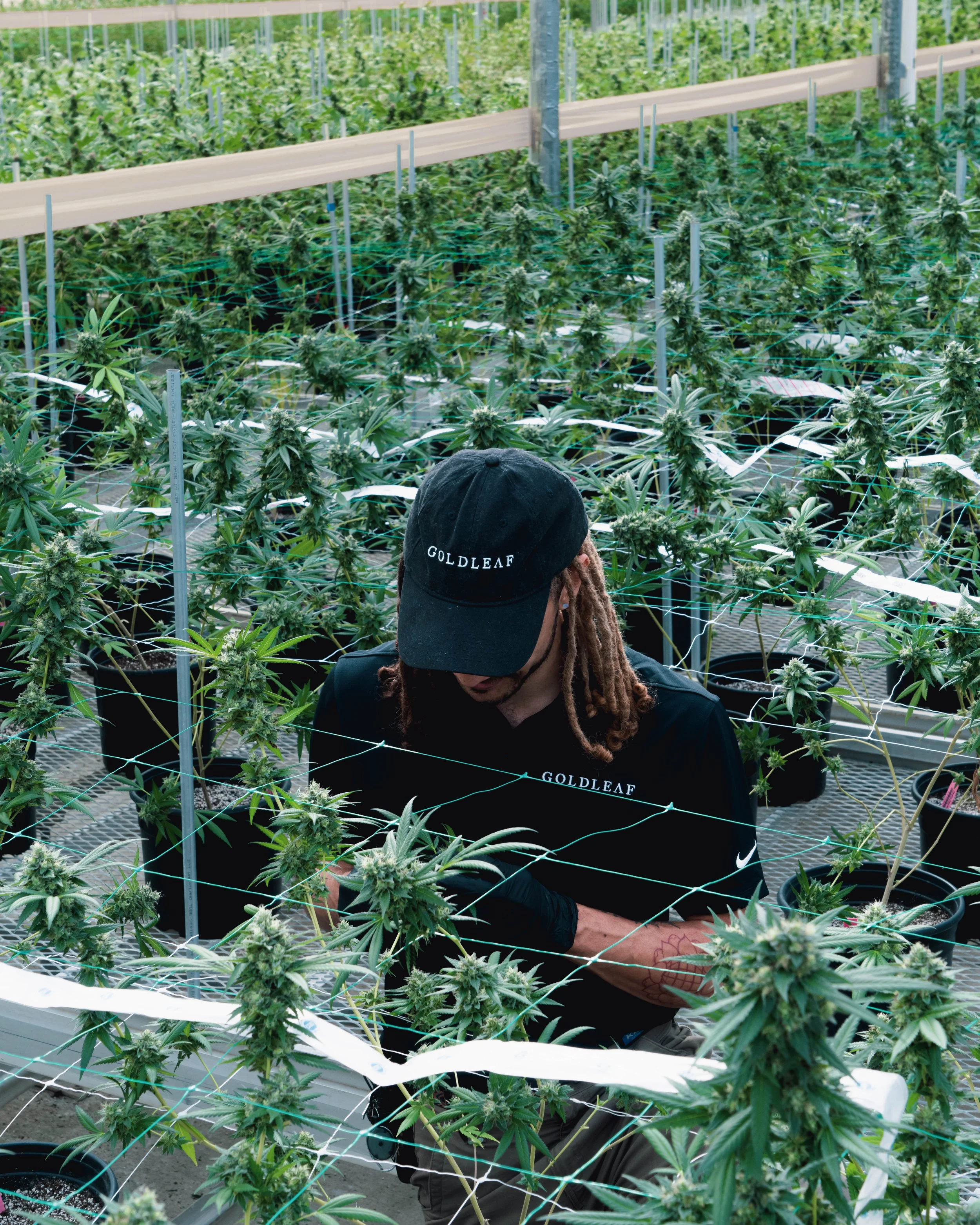Grow-22.jpg