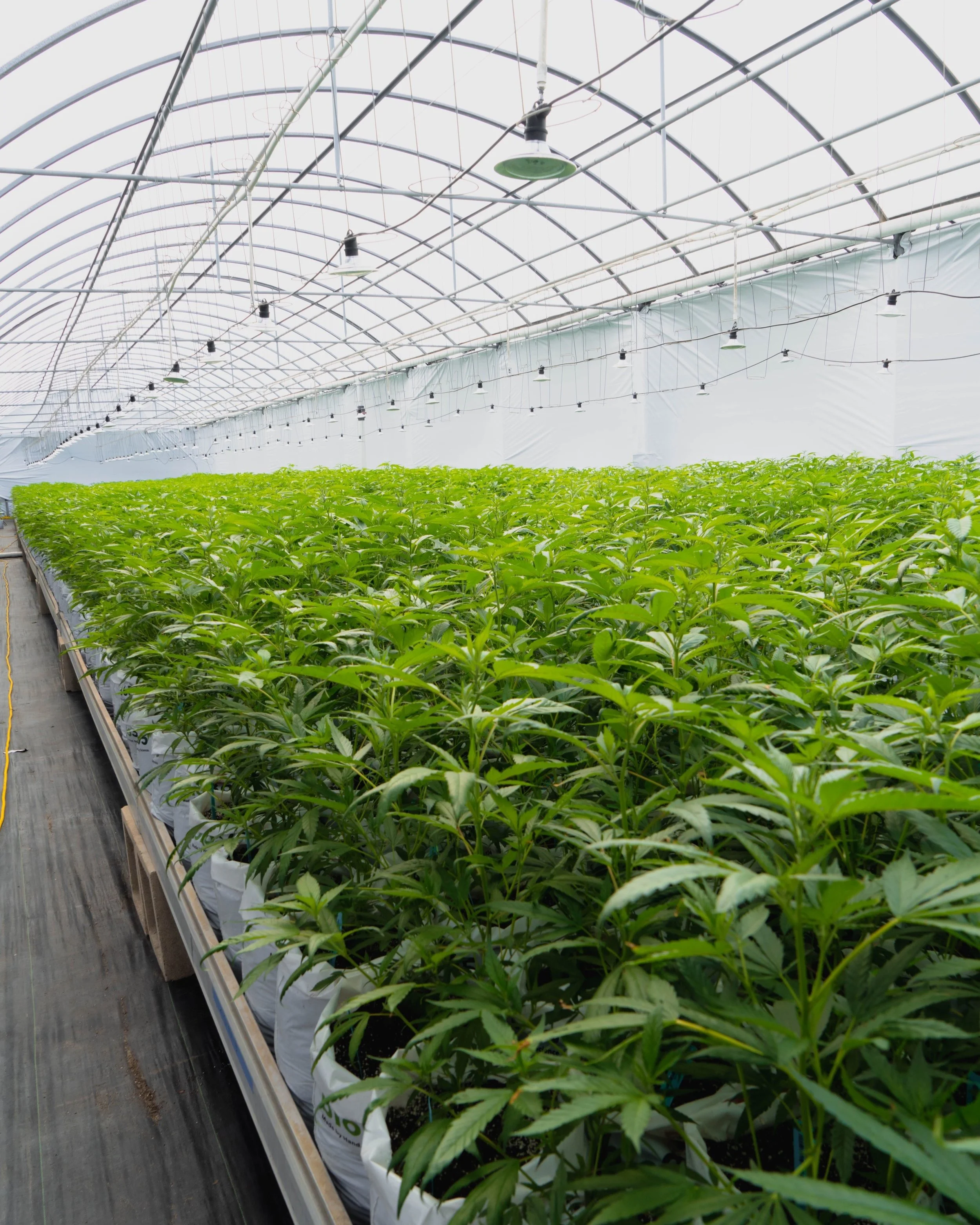 Byrn 2-24-23-2-11.jpg