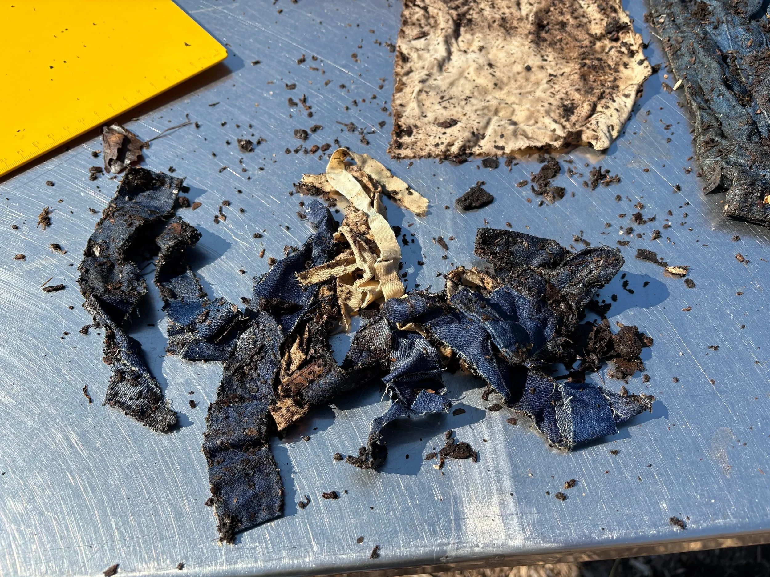 Day 99, March 3, 2025: Shredded industrial denim swatch, shredded industrial knit swatch