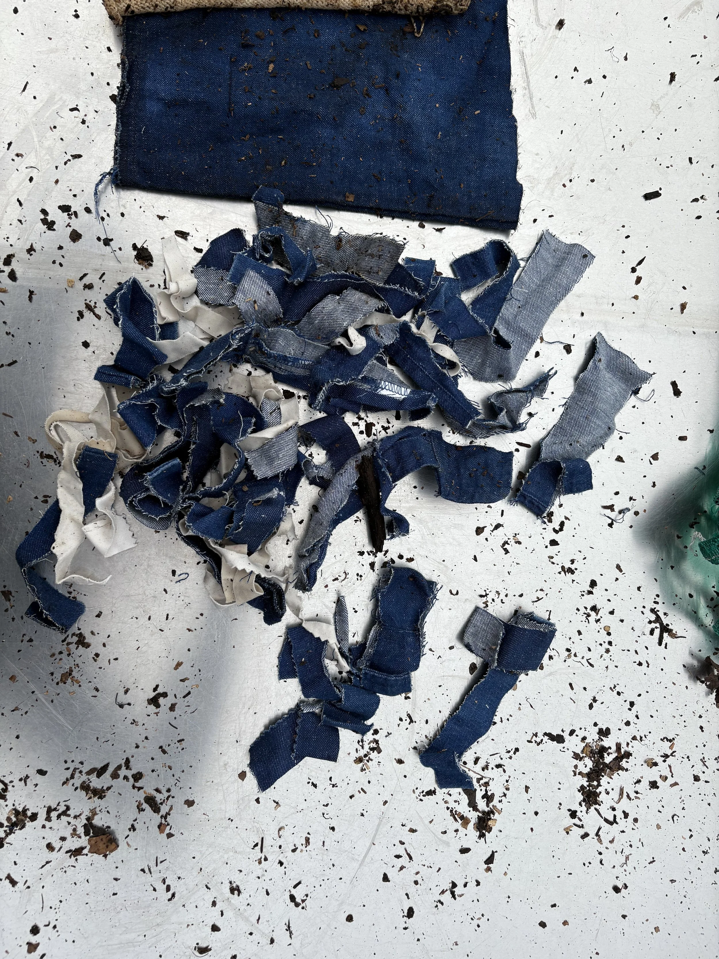 Day 17, December 9, 2024: Shredded industrial organic hemp/cotton indigo denim
