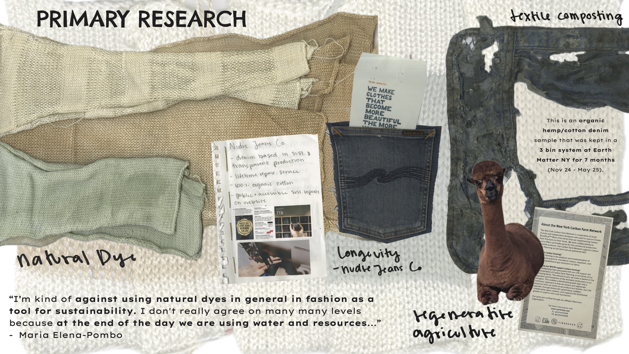 levy_sydney_portfolio_2025 (dragged) 2.jpg