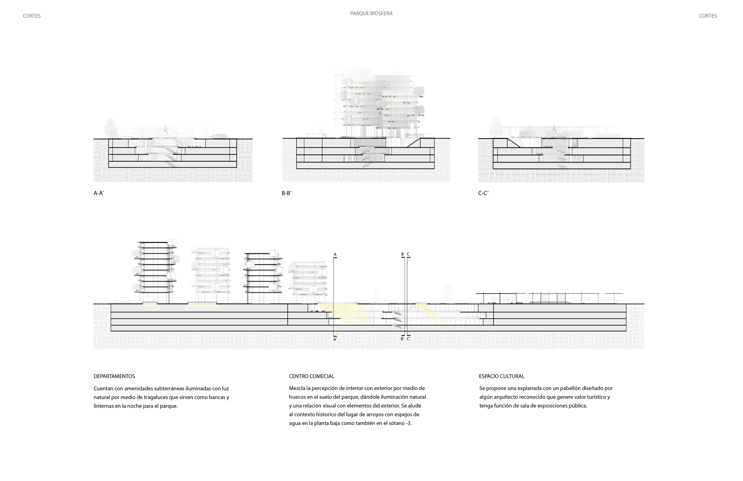 Arturo del Rio - Portafolio PARA WEBSITE_Biosfera3.png