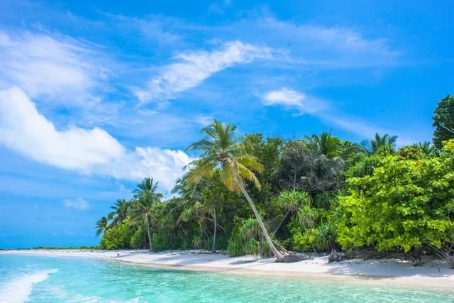 Replenish Tropical Paradise Writing Retreat