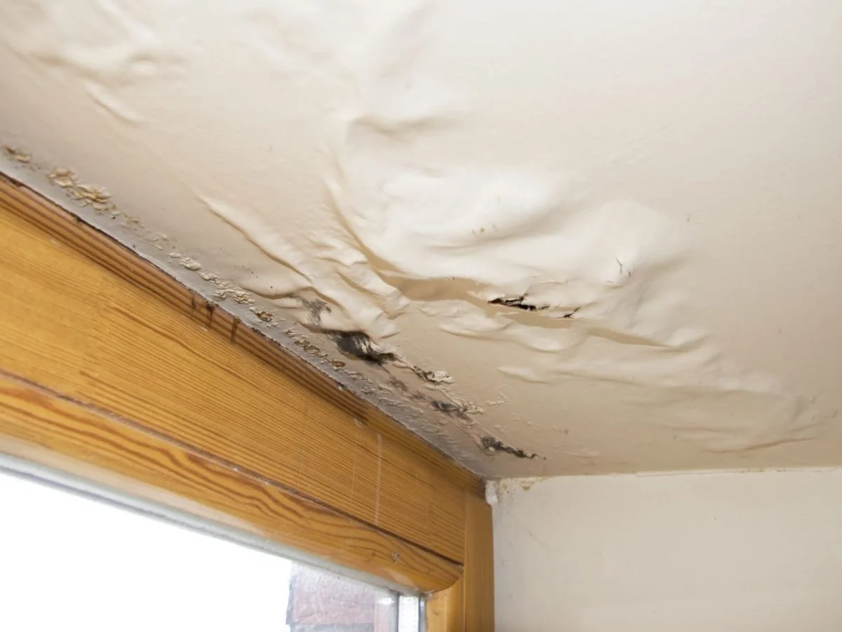 Ceiling with peeling paint and water damage near a wooden window frame.