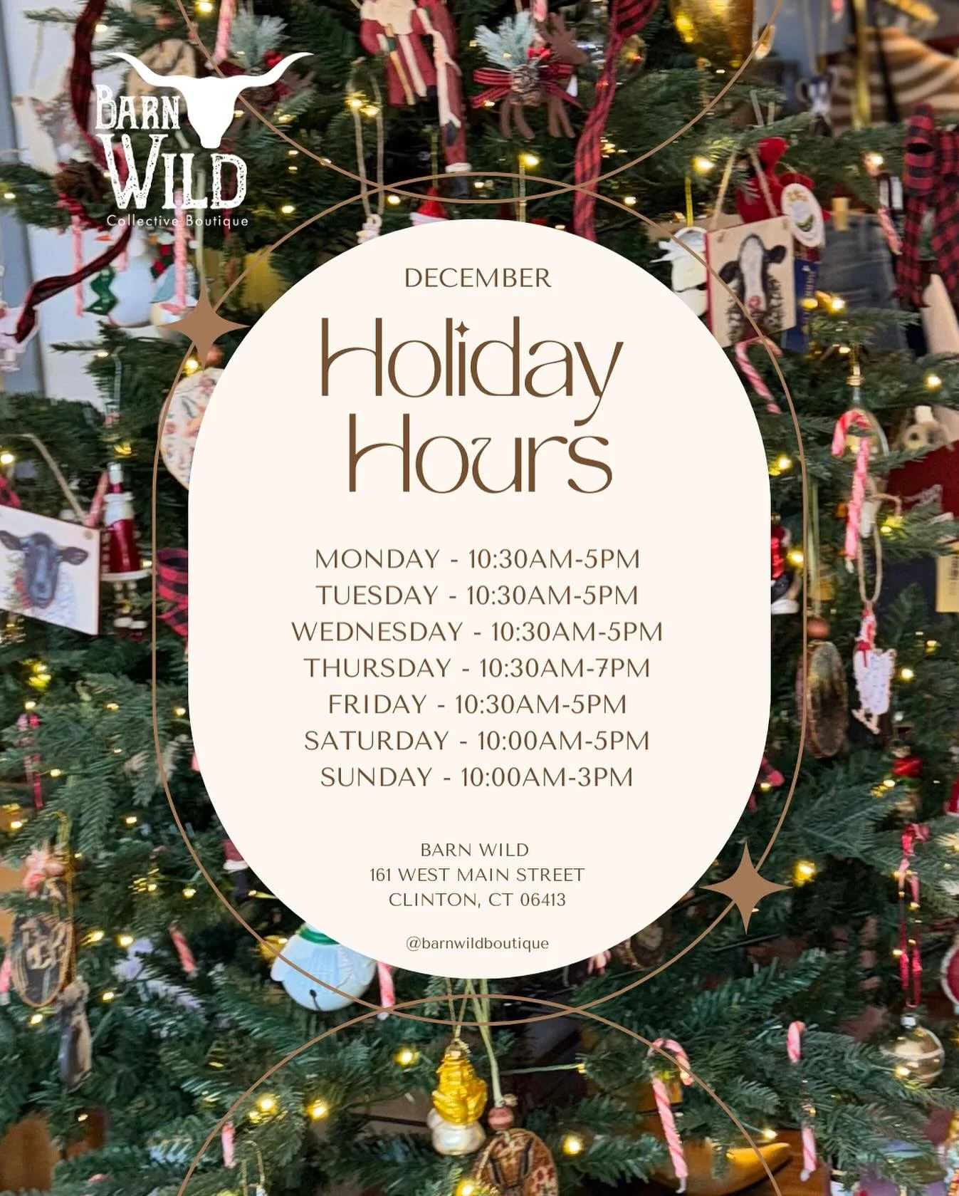✨ Holiday Hours Are Here!🎄