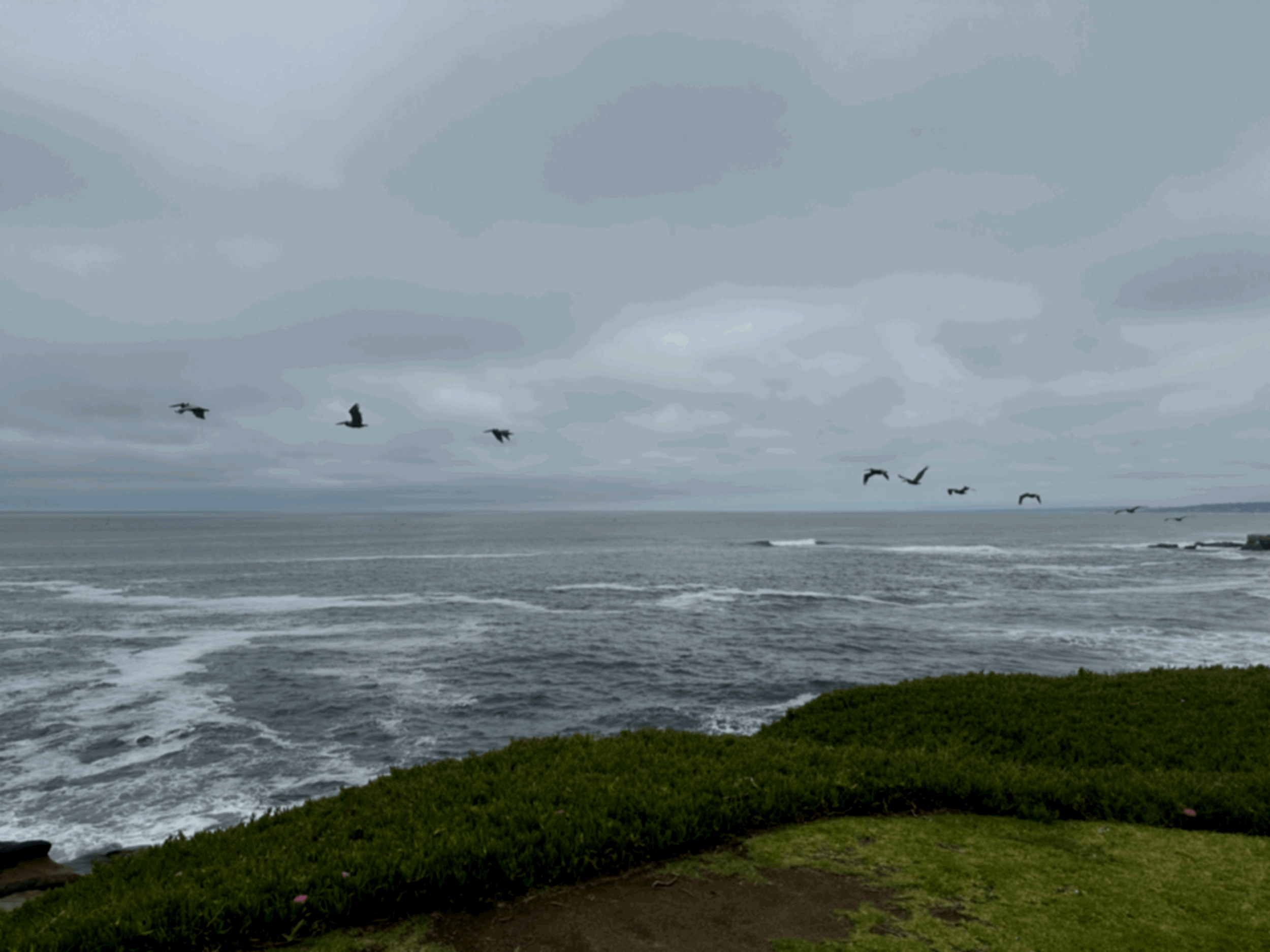 What I’m Rooted In: The Casa Sorella Pillars